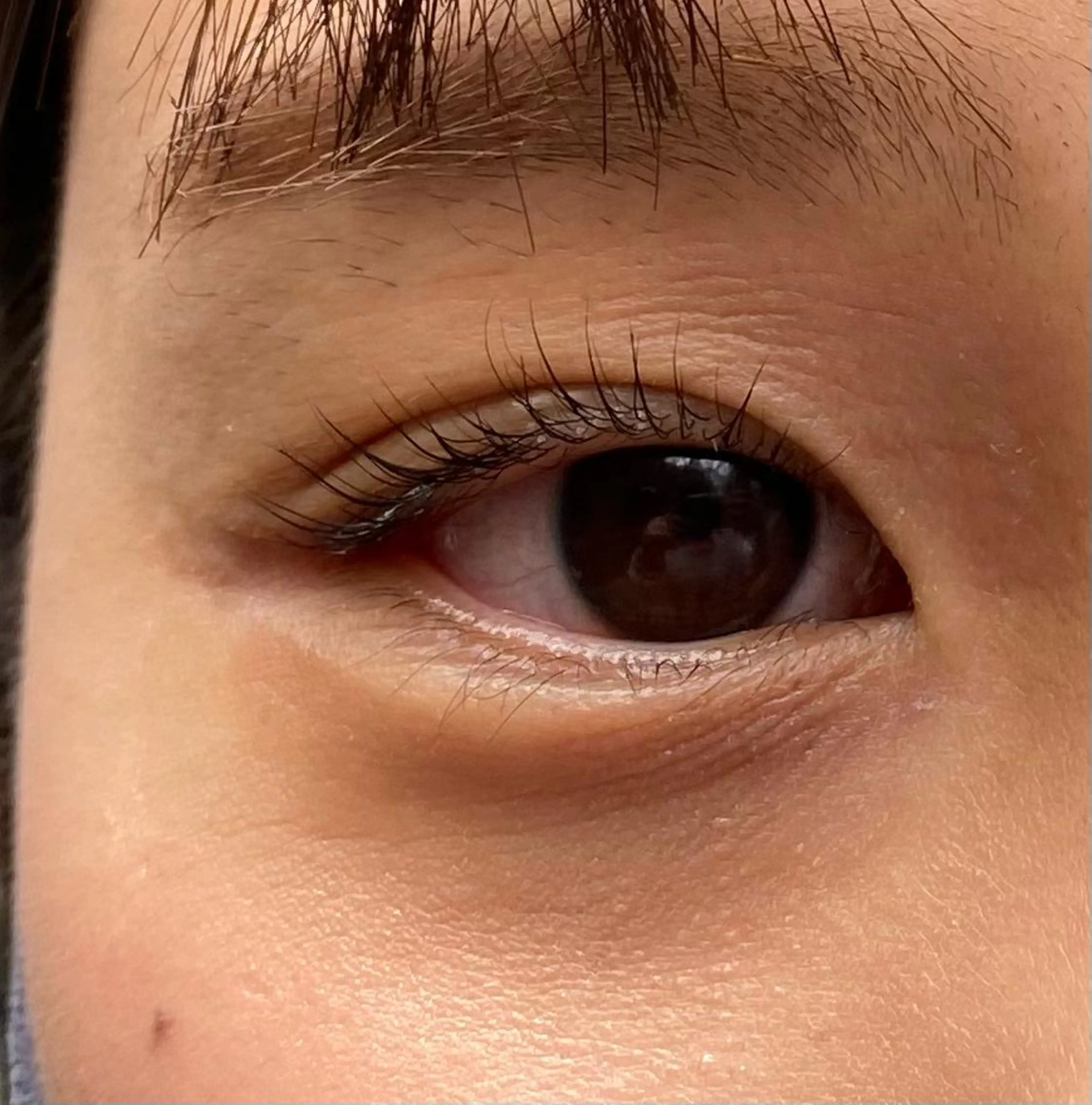 マツエク・マツパ Bonheur  KAWANISHI所属・ノンダメージ 🥑mikubanのヘアスタイル