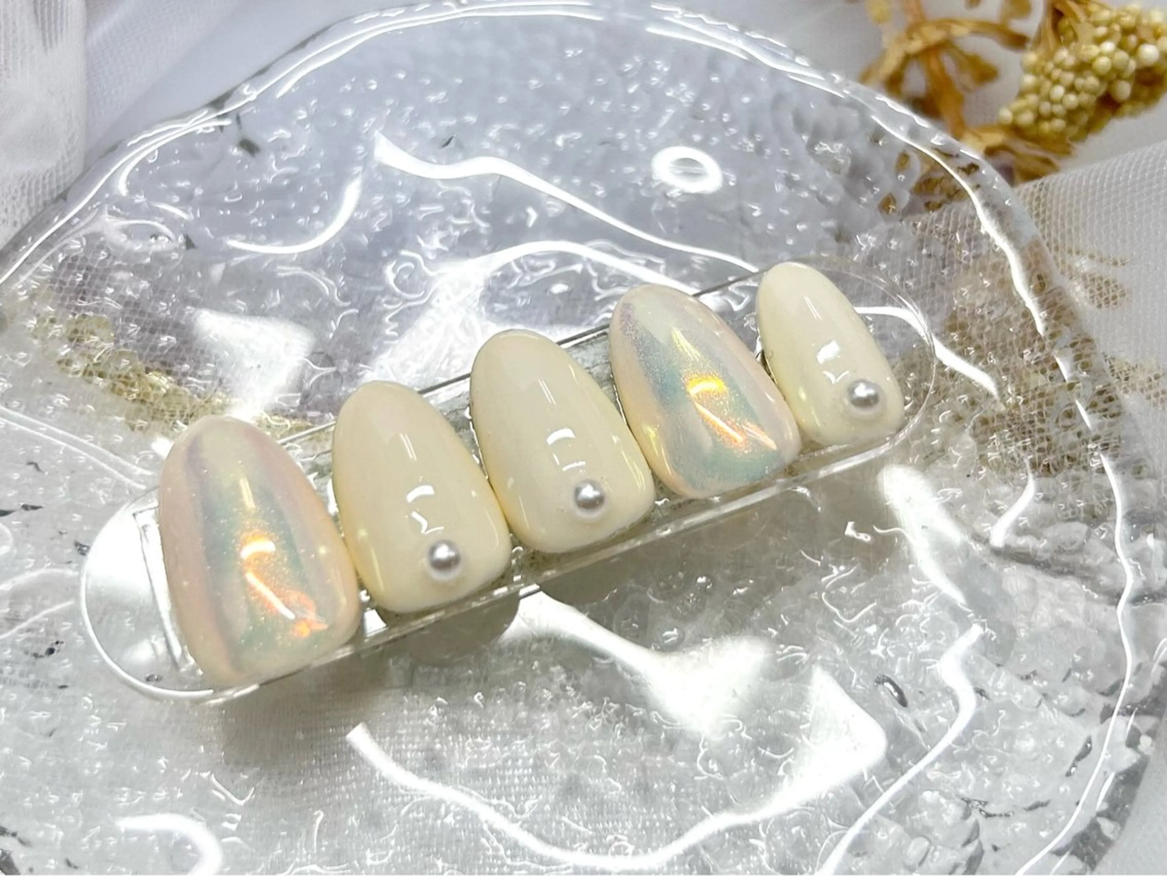 ネイル アートネイル ジェルネイル マグネットネイル ニュアンスネイル パラジェル ハンドネイル Nail Neige 錦糸町所属・Nail Neige🐈🌙のネイルデザイン