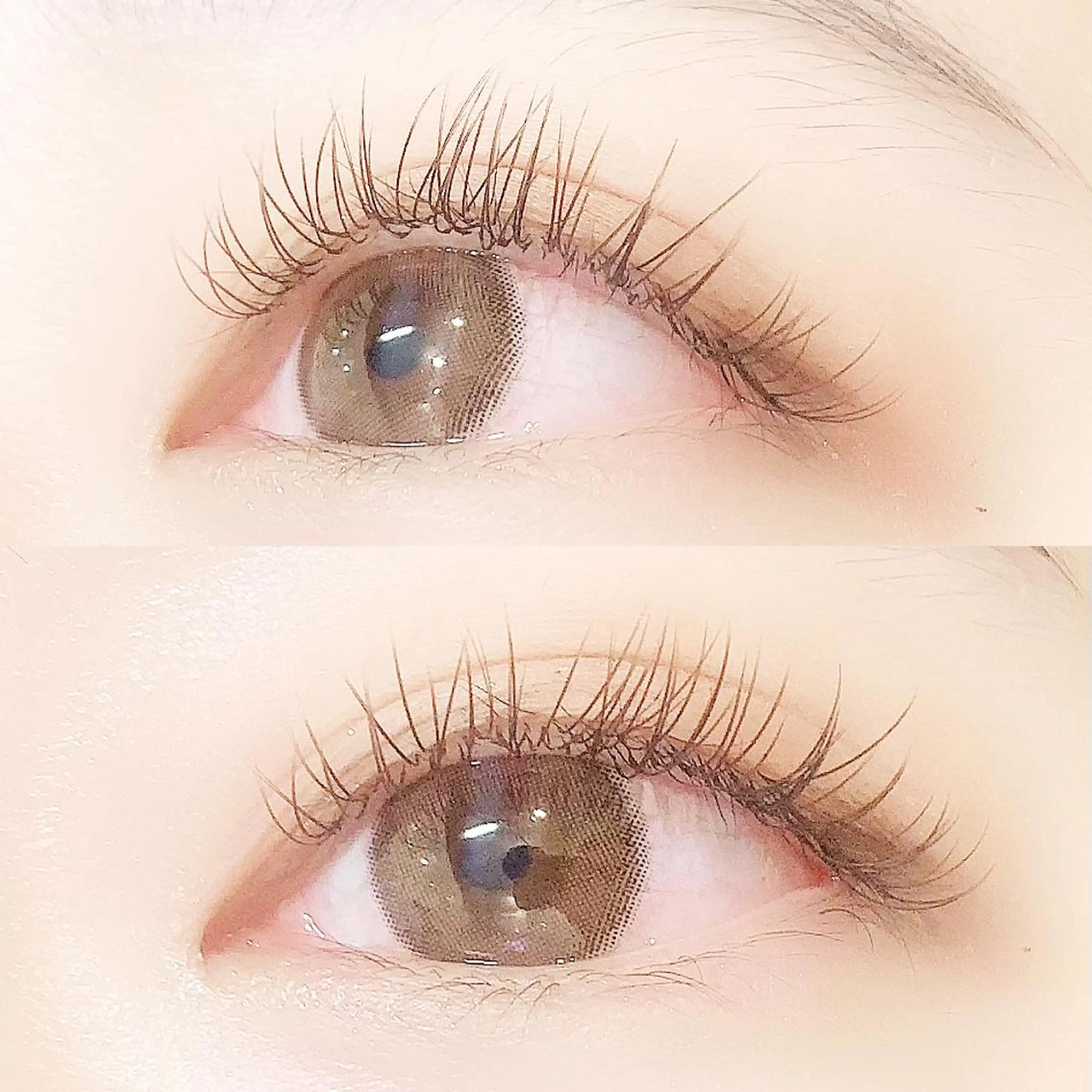 マツエク・マツパ カラーマツエク キュート フラットラッシュ マツエク Lanhr所属・【Lanhr】 🕊aya🕊のマツエク・マツパデザイン