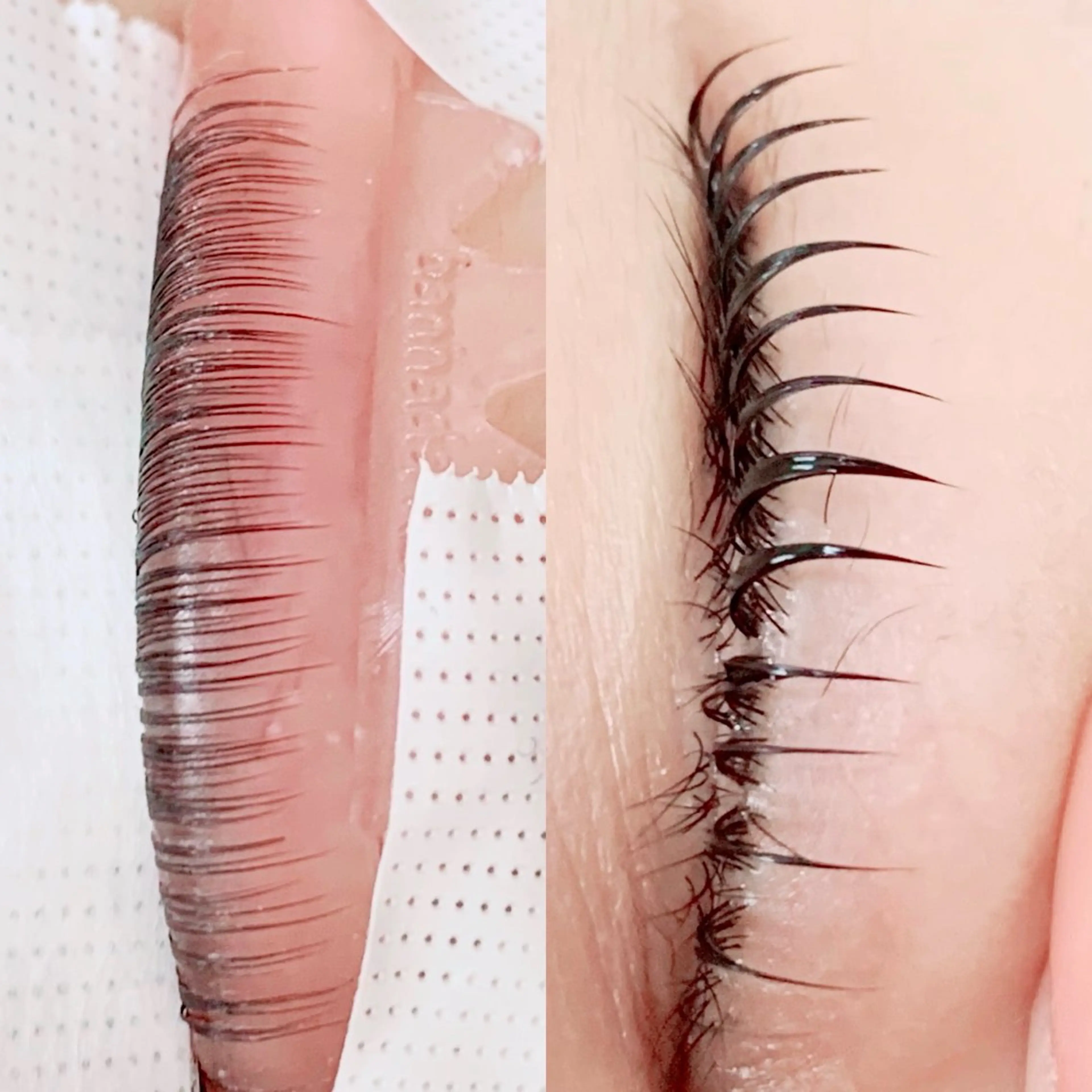 マツエク・マツパ 束感まつ毛 韓国風マツエク パリジェンヌラッシュリフト まつげパーマ 下まつげエクステ マツパ chill&private A/N まつげパーマ/上下まつげパーマ/パリジェンヌ/南与野所属・まつげパーマ専門店 A/N南与野のマツエク・マツパデザイン