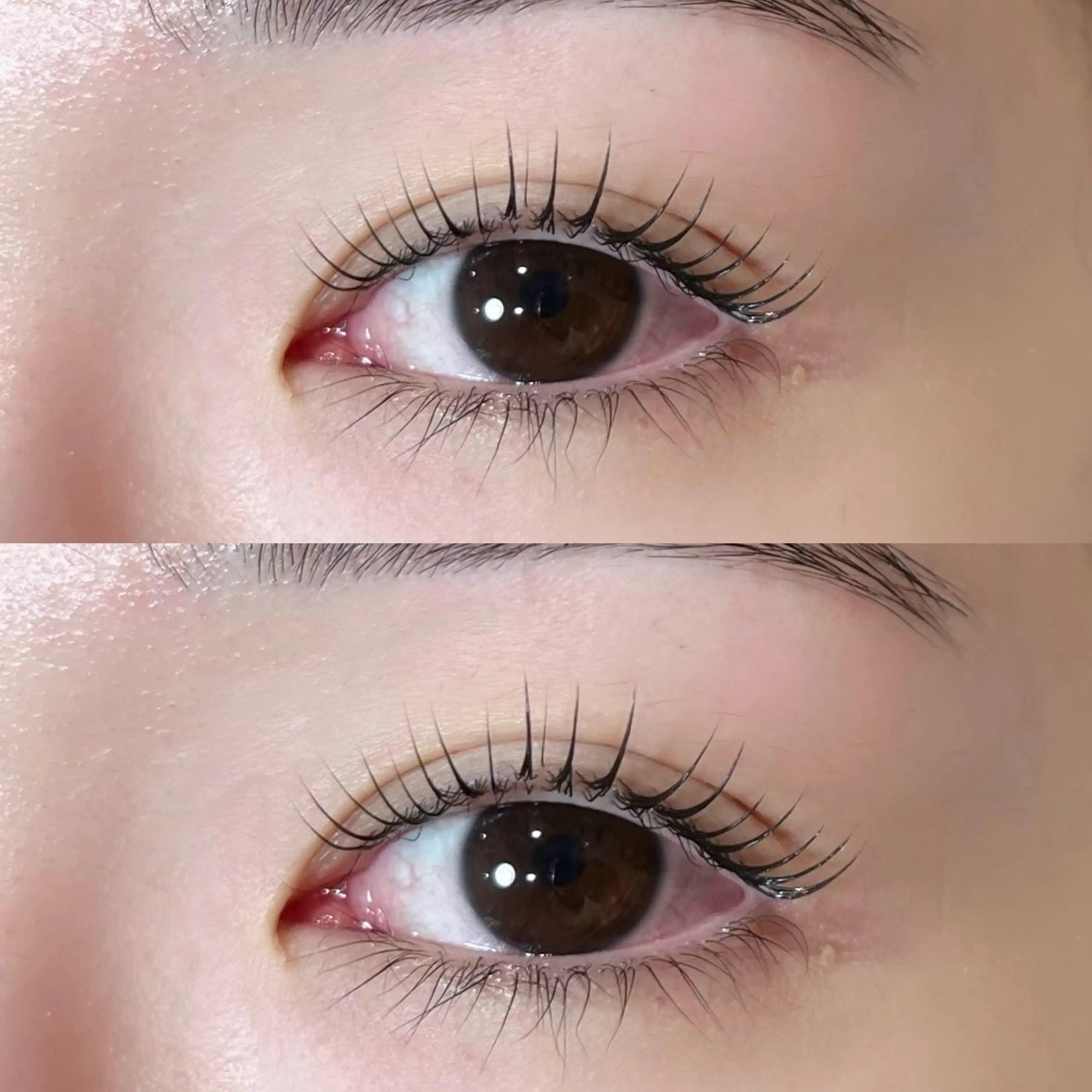 ใใใจใฏใปใใใ ๐๐๐๐๐ ๆ่ฑใฎใใใจใฏใปใใใใใถใคใณ