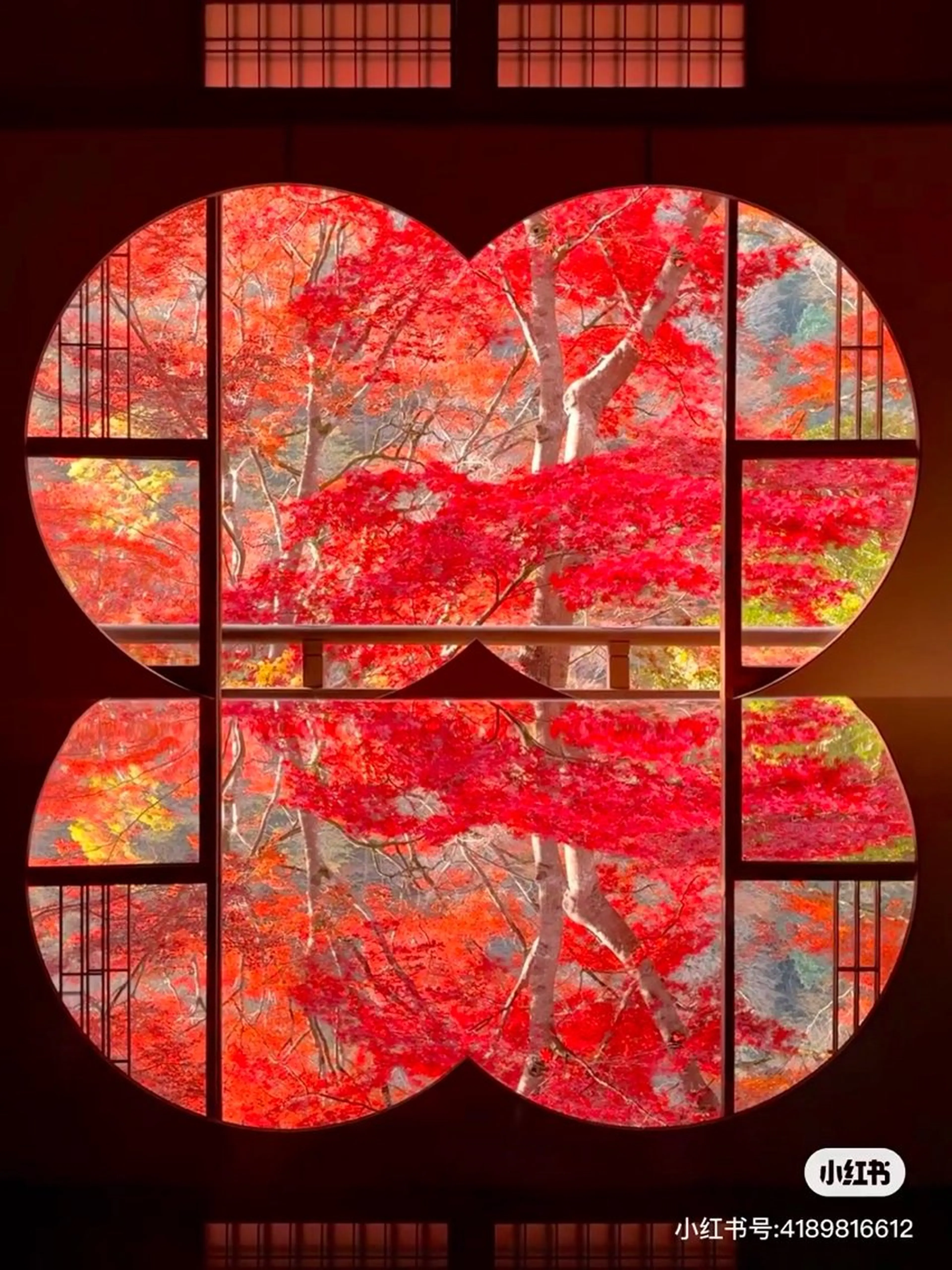 ネイル エステ aliaハイフ&水光ジェットサロン所属・aliaハーブ水光店 エステティシャン募集のエステ・リラクイメージ