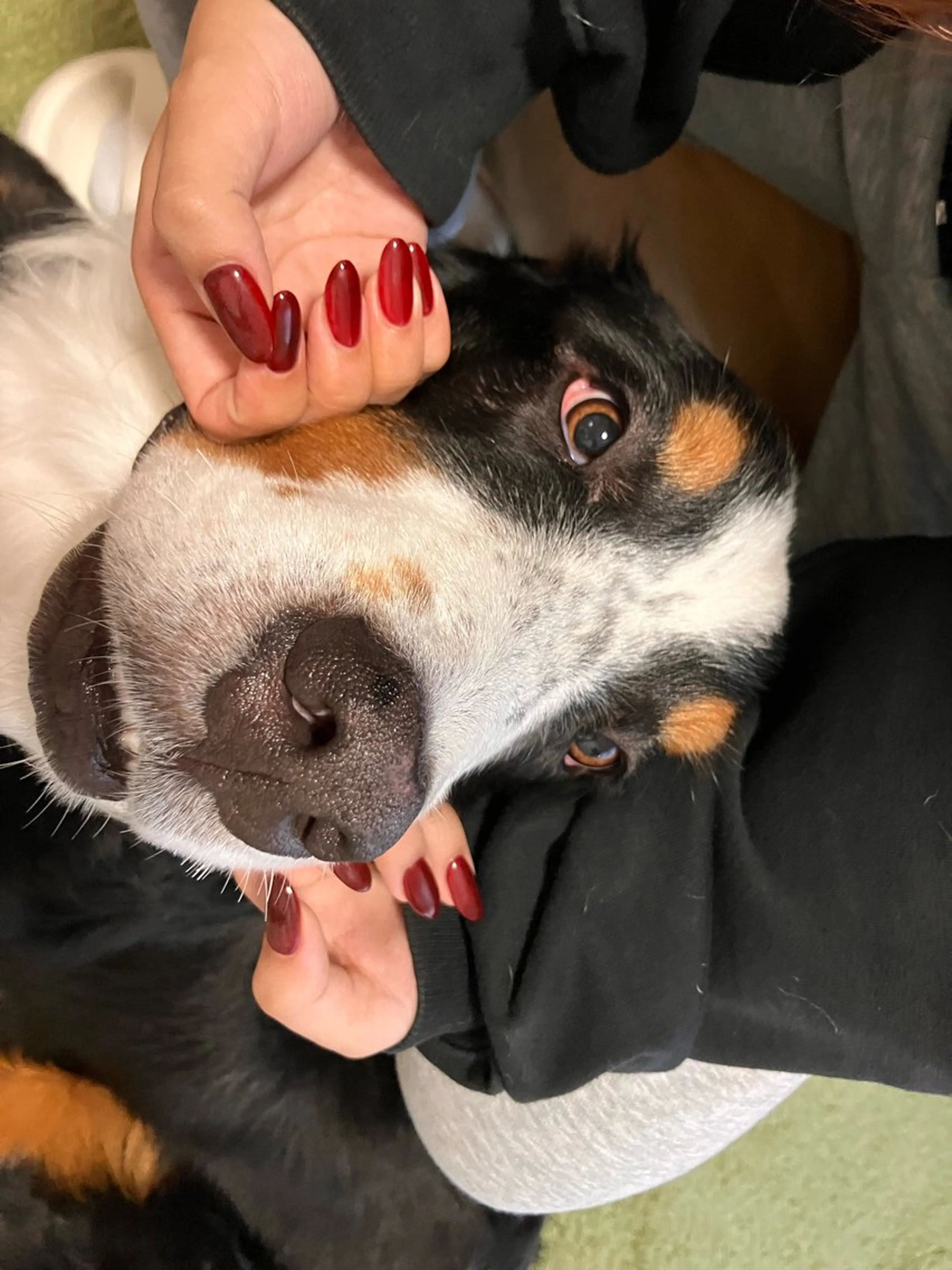 ネイル RinRin　nail所属・孔 ジンシェンのネイルデザイン