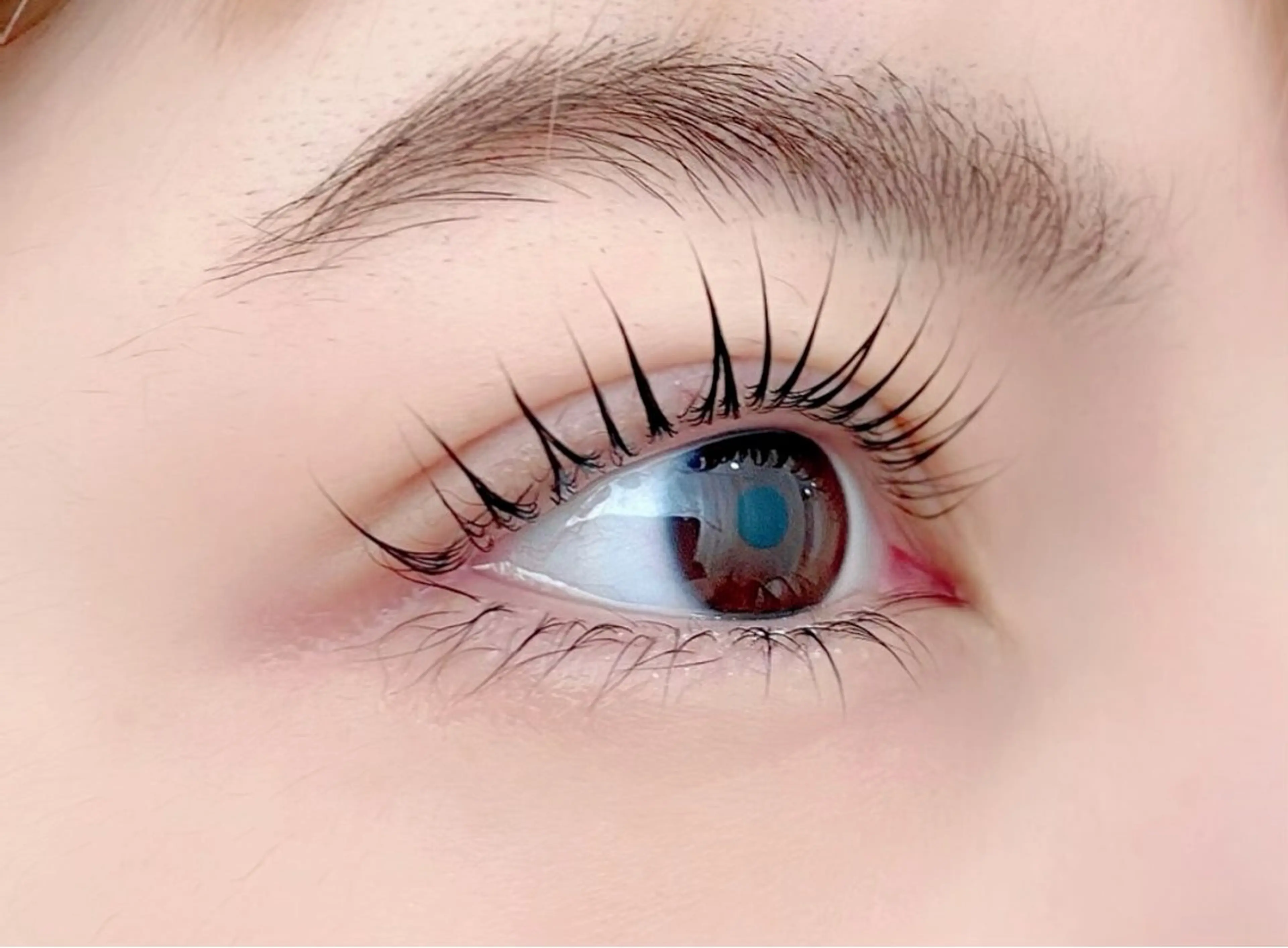 マツエク・マツパ パリジェンヌラッシュリフト eyelash plan所属・【plan】 kiyotakaのマツエク・マツパデザイン