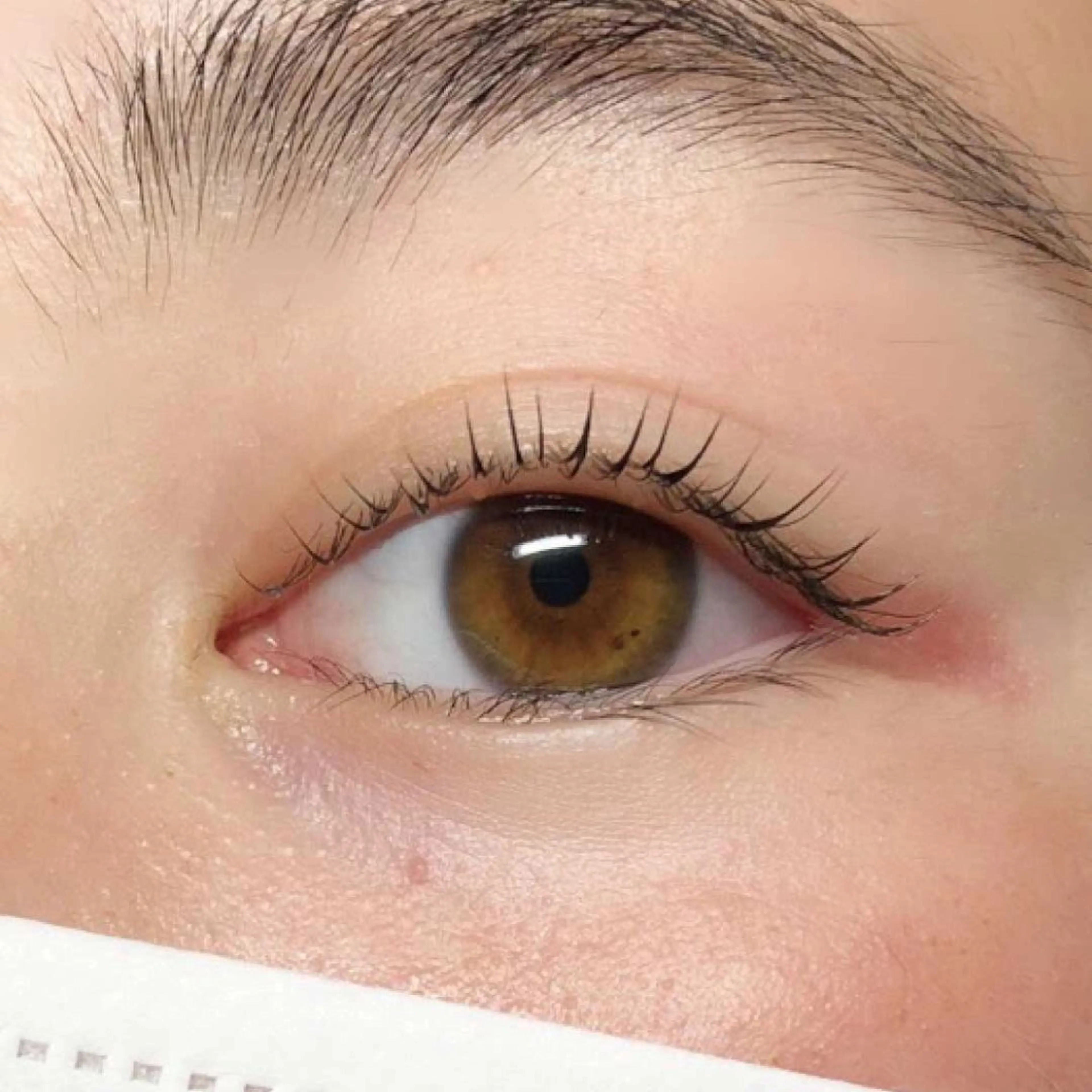 マツエク・マツパ lemmy staffのマツエク・マツパデザイン