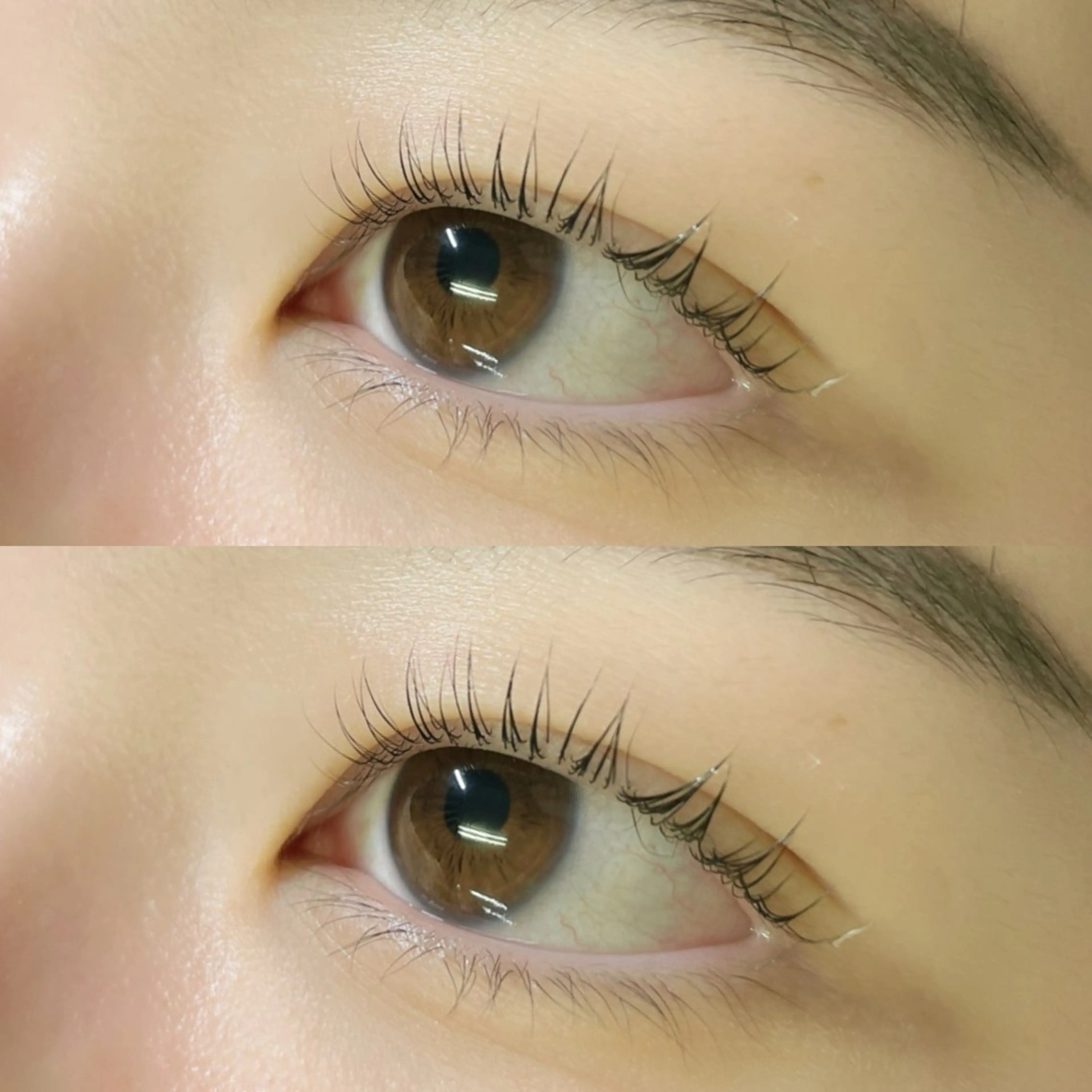 マツエク・マツパ マツパ リフュージュ　隠れ家所属・リフュージュ🌷 カホのマツエク・マツパデザイン