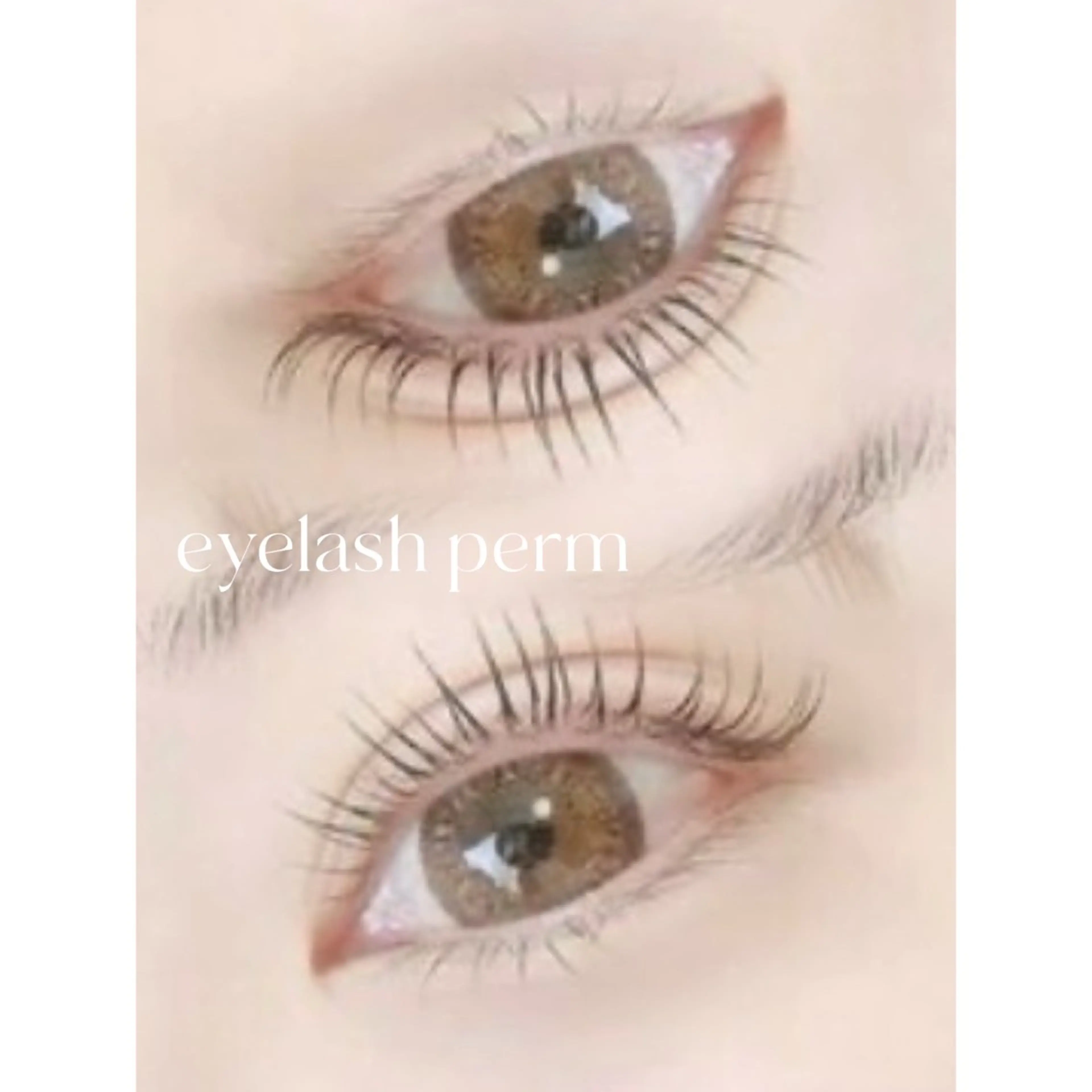 当日限定トリートメントケアつき🤍まつ毛パーマ¥3,500の写真