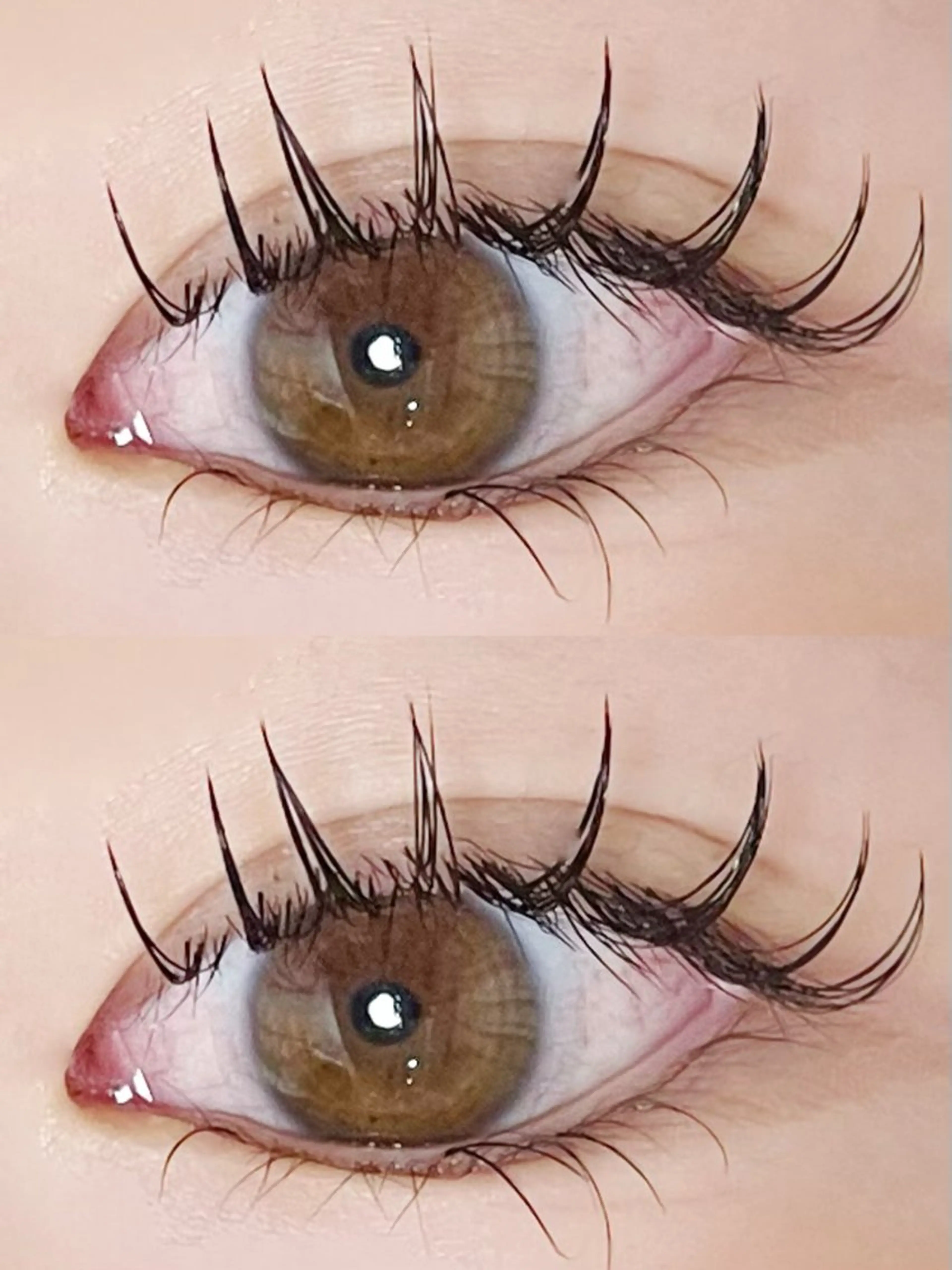 マツエク・マツパ マツエク Ayumi.dre 🌸Y《2階》のマツエク・マツパデザイン