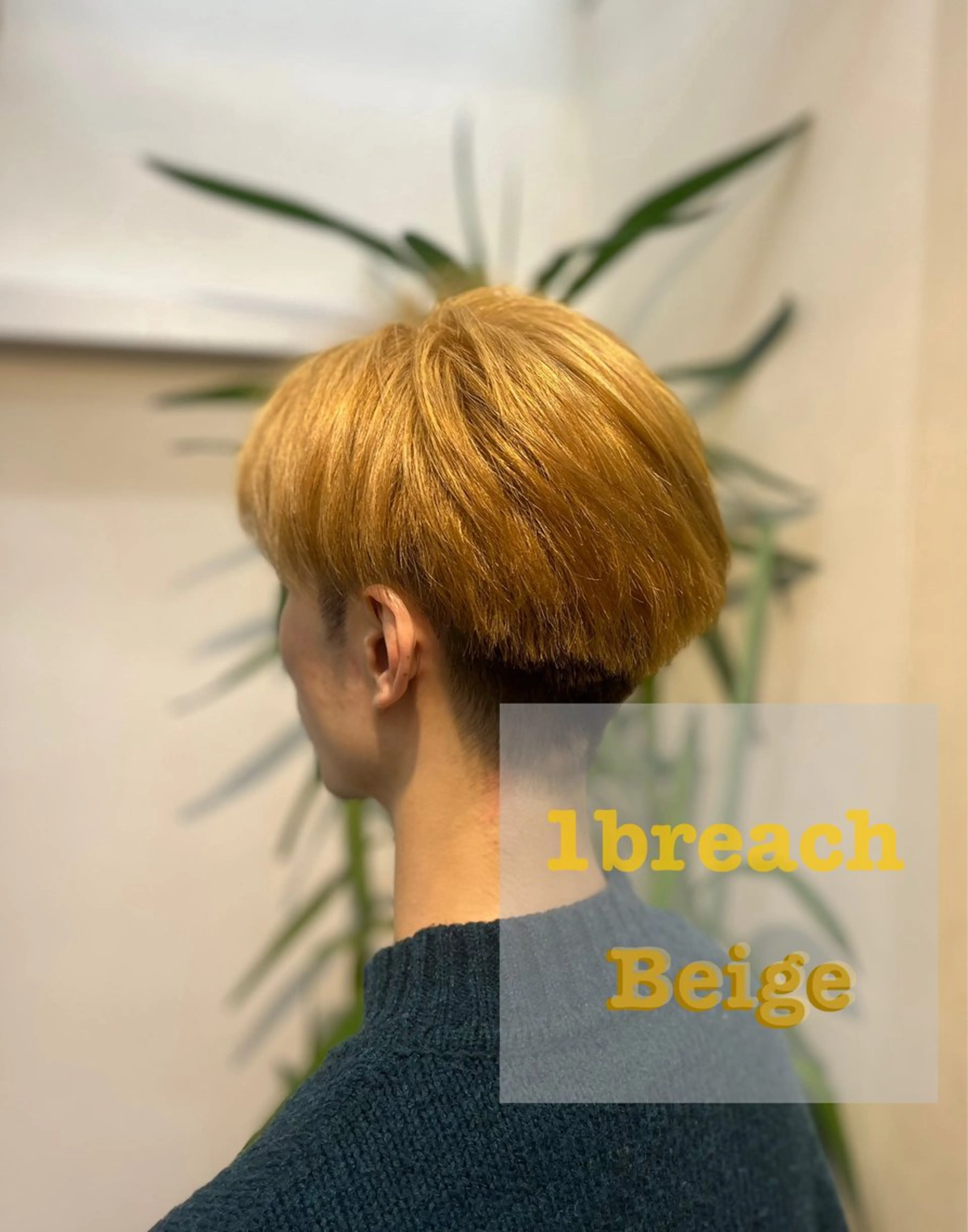 ショート カラー メンズ 🦒布施 良樹🏍️のヘアスタイル