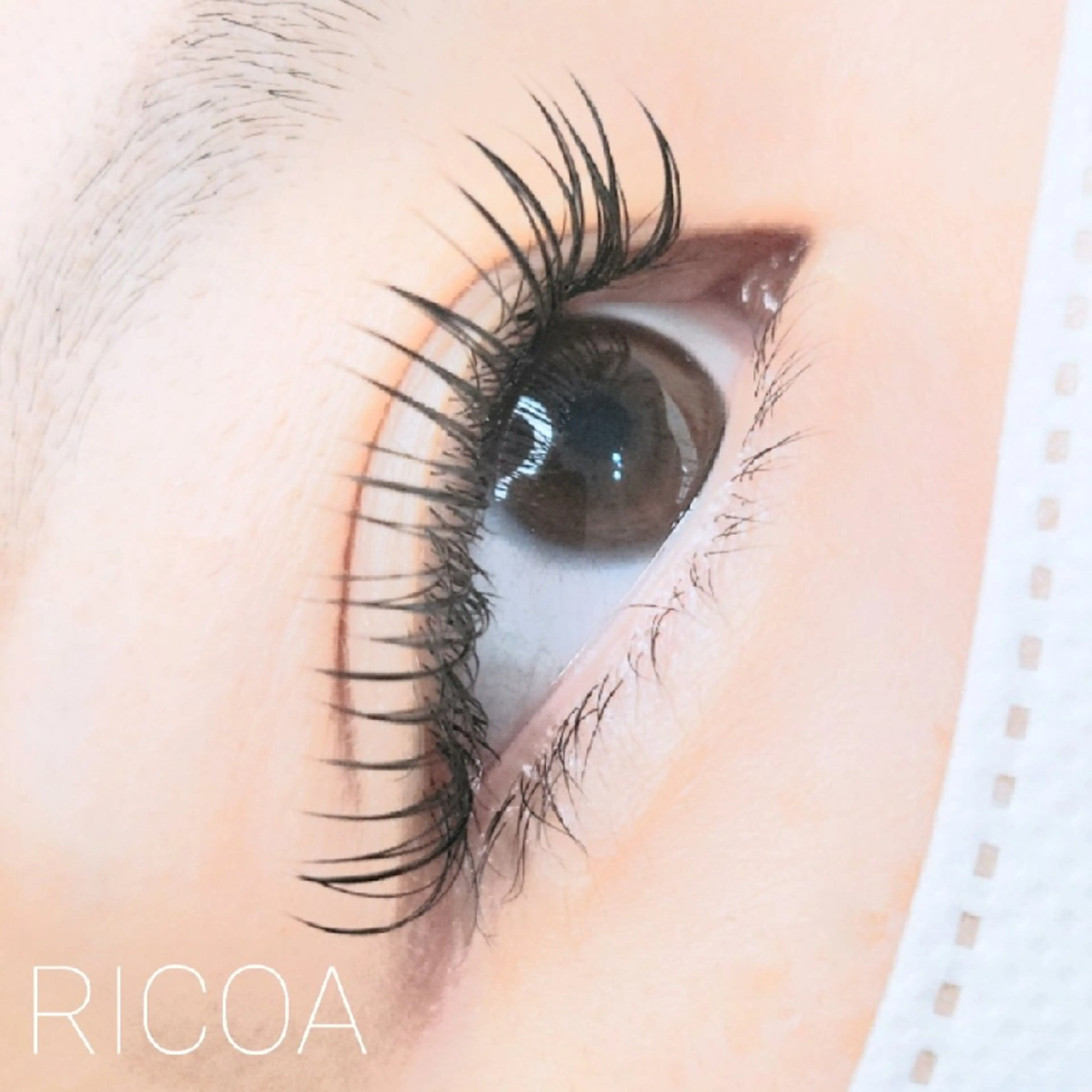 マツエク・マツパ フラットラッシュ マツエク RICOA 酒井のマツエク・マツパデザイン