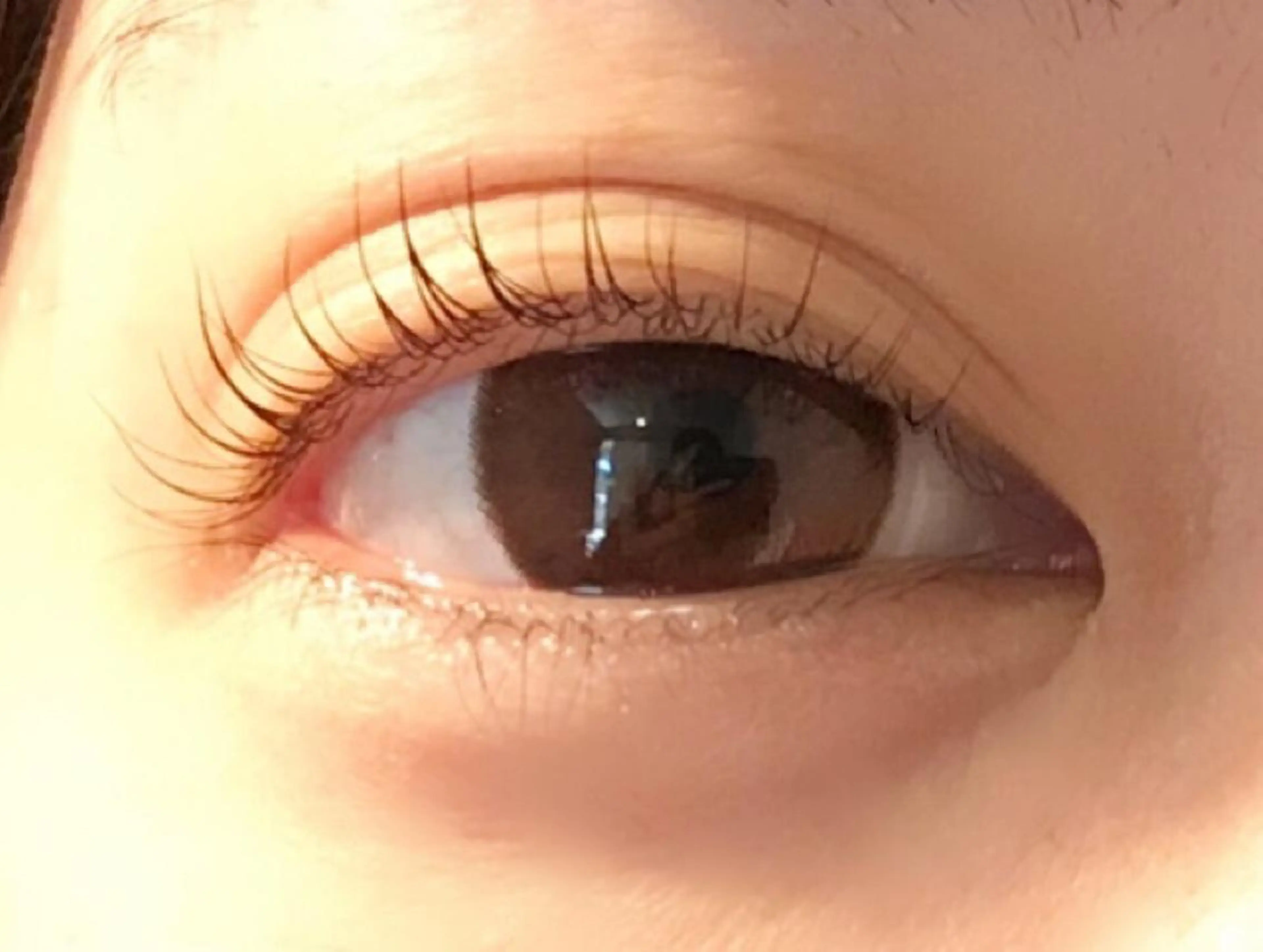 マツエク・マツパ Sono 苑田　彩のマツエク・マツパデザイン