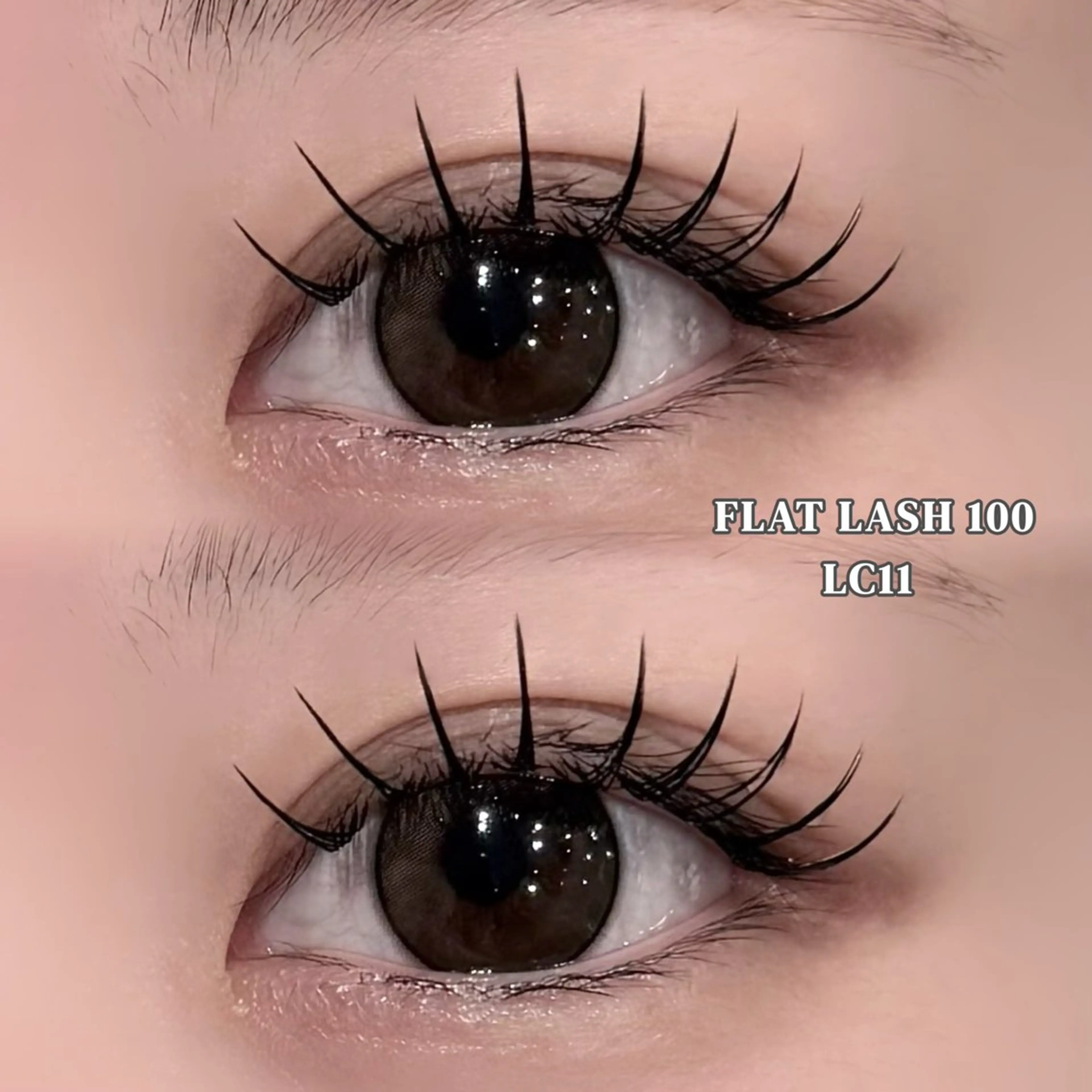 マツエク・マツパ Cカール Dカール フラットラッシュ マツエク 🦋OLIVIA池袋 🦋長友のマツエク・マツパデザイン