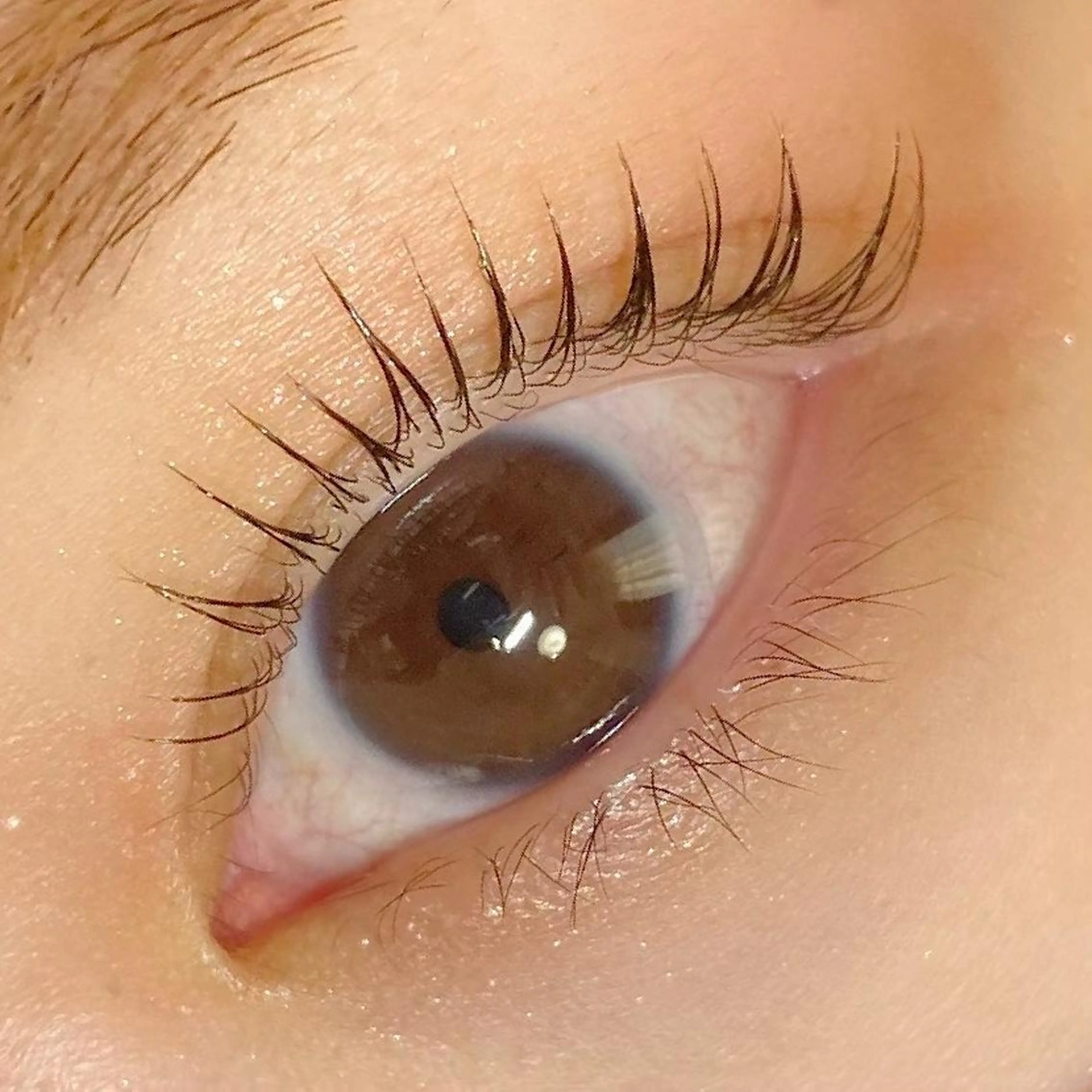 マツエク・マツパ arton Eyelash所属・Arton Eyelashのエステ・リラクイメージ