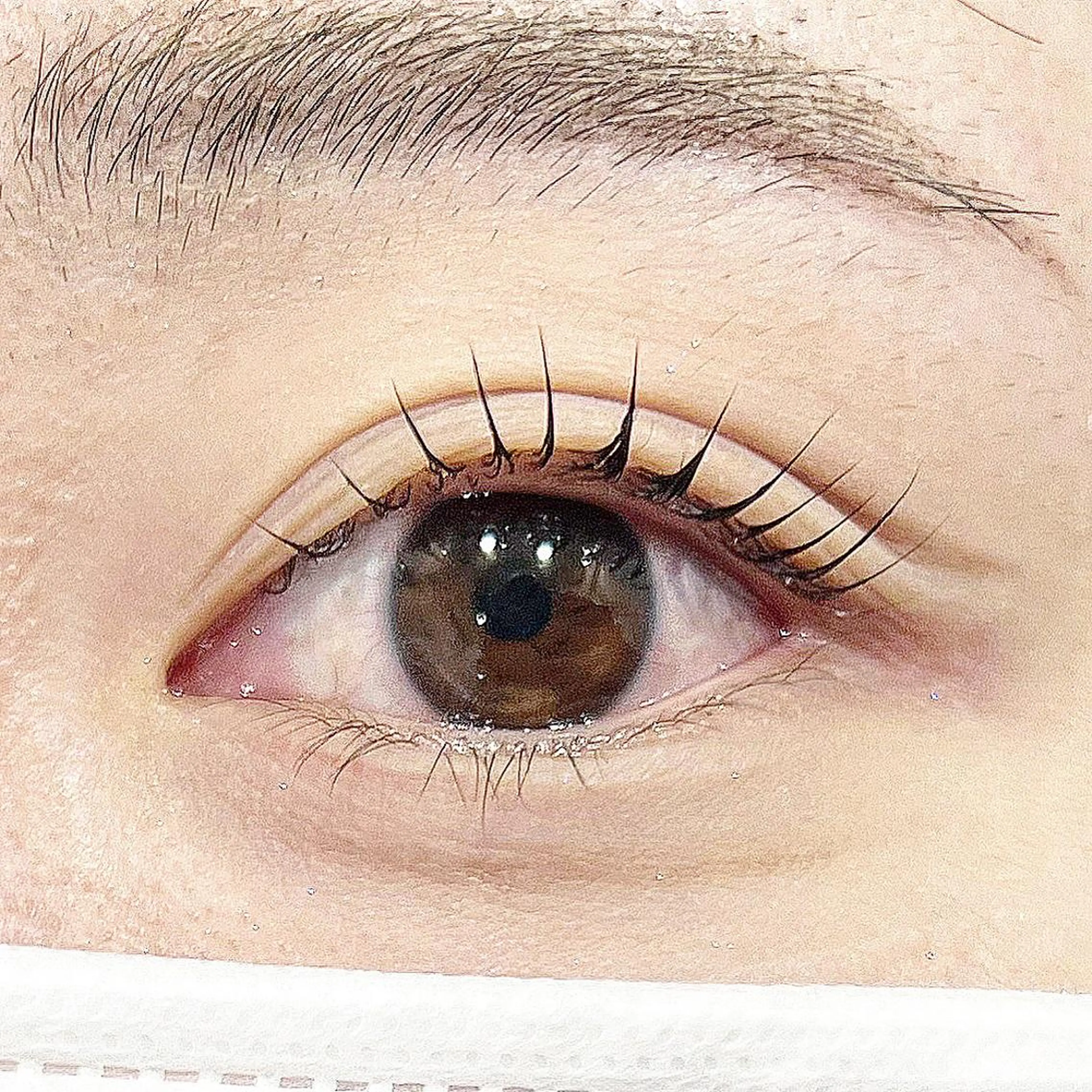 マツエク・マツパ LaBless ザ•北浜プラザ所属・LaBless Sakura🍒のマツエク・マツパデザイン