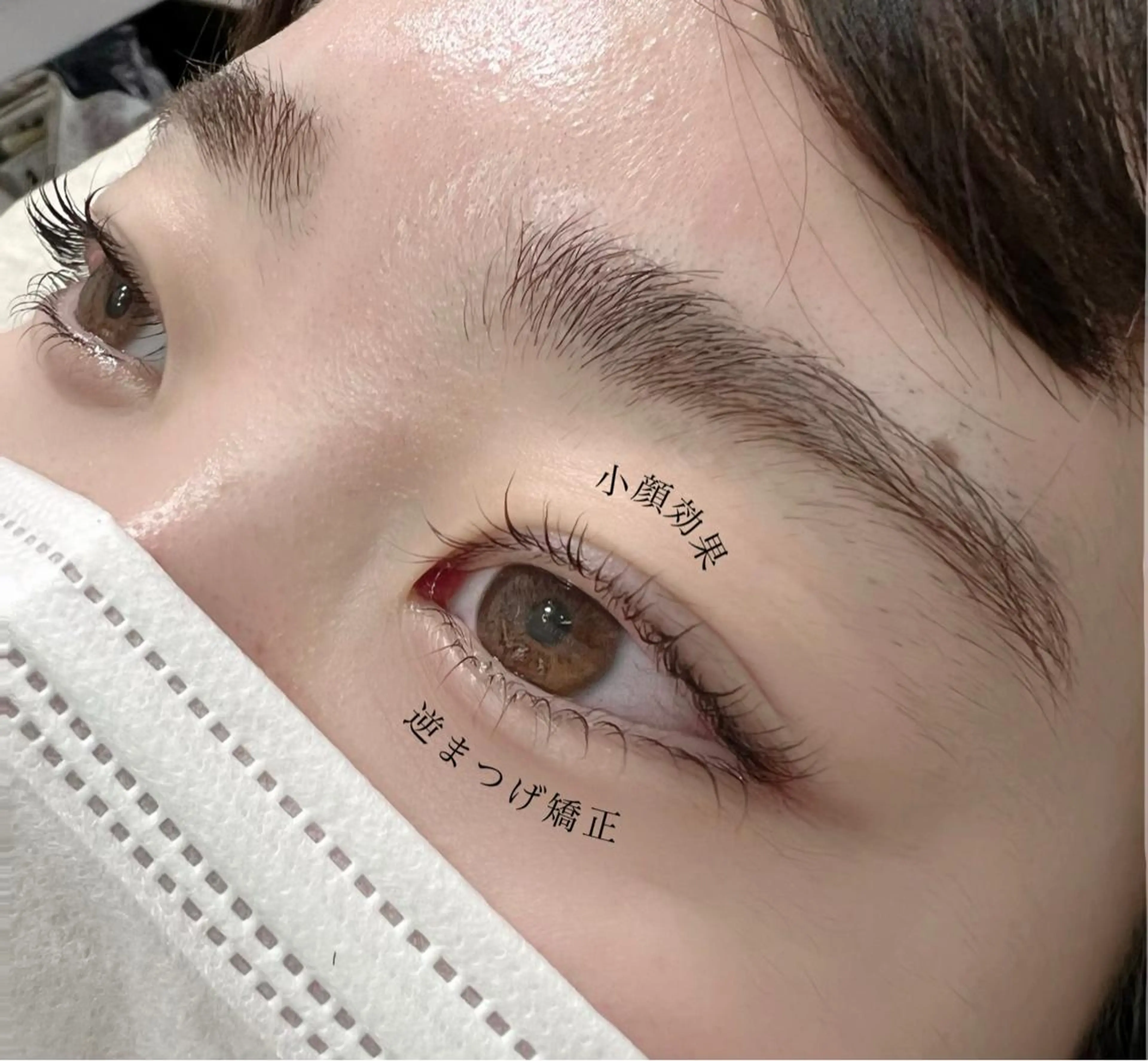 マツエク・マツパ ケラチンラッシュリフト Cカール Lカール まつげパーマ 下まつげエクステ eyelash presh yukaのマツエク・マツパデザイン