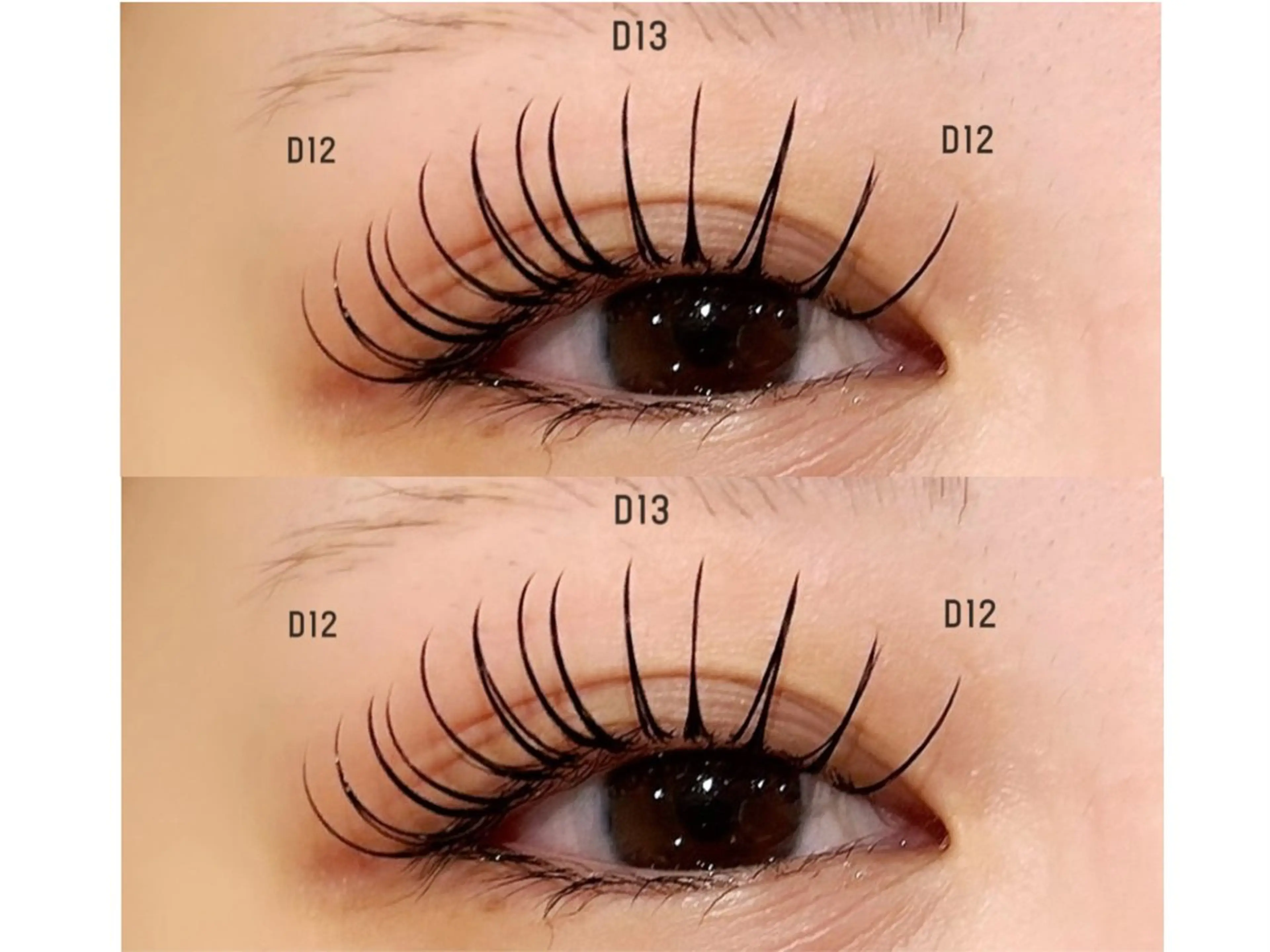 🎀&ヘルシー🎀 バインドロック40束~60束orフラットラッシュ100本!! 初回コーティング付き✨ 初回オフ無料!の写真