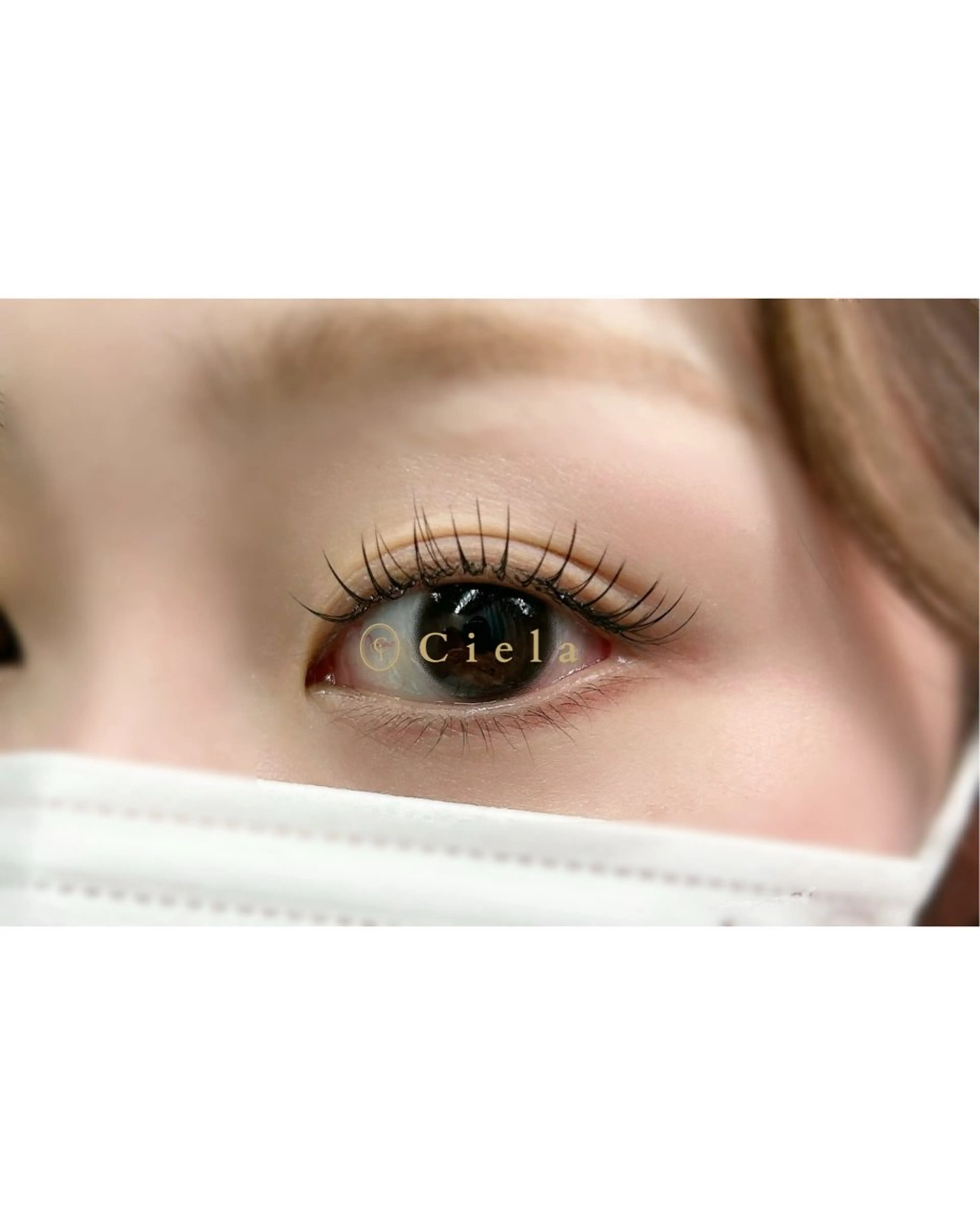 フラットラッシュ100本(LED)の写真