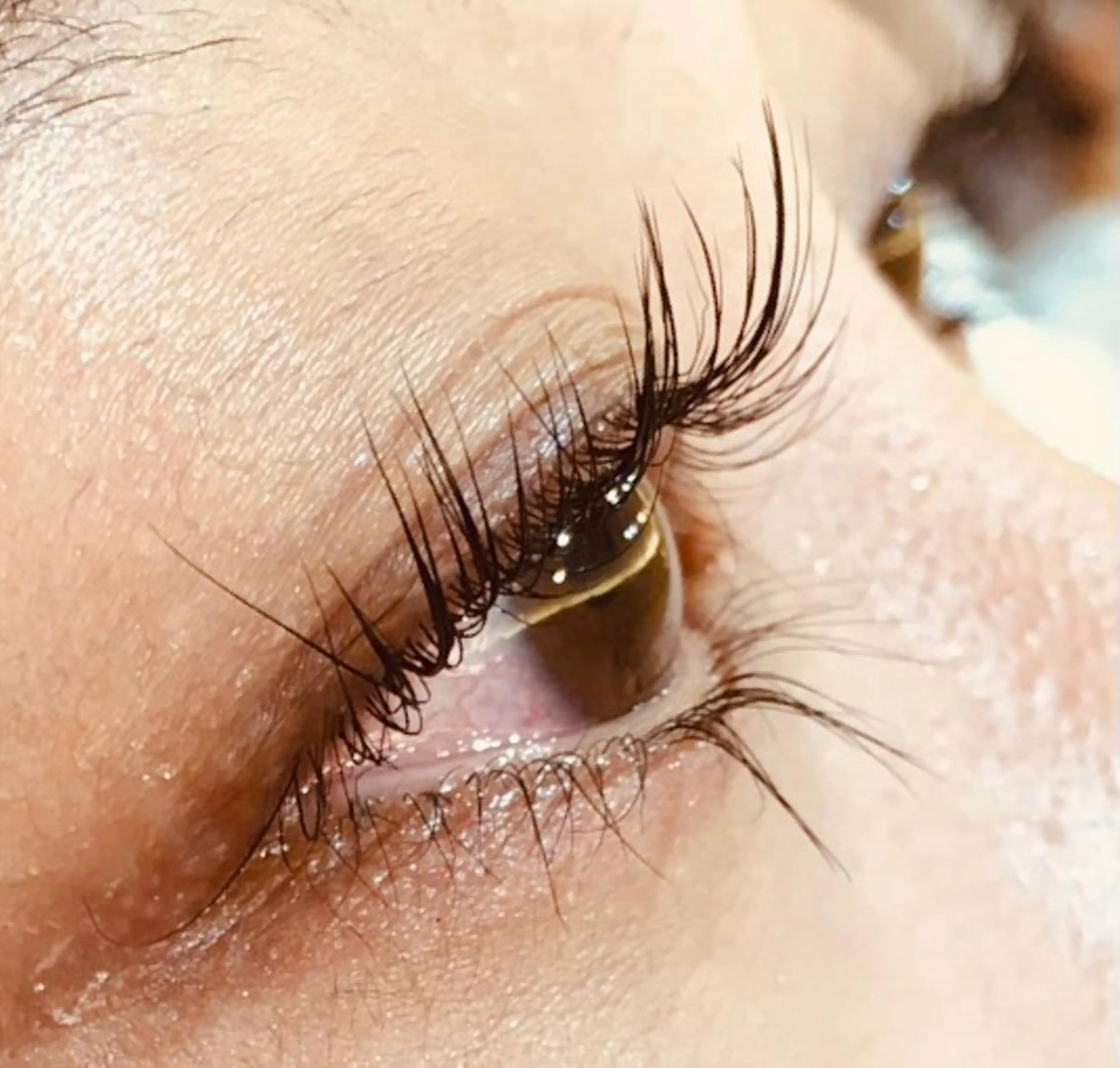 マツエク・マツパ マツパ Fukushi/ 自由が丘quint;のマツエク・マツパデザイン