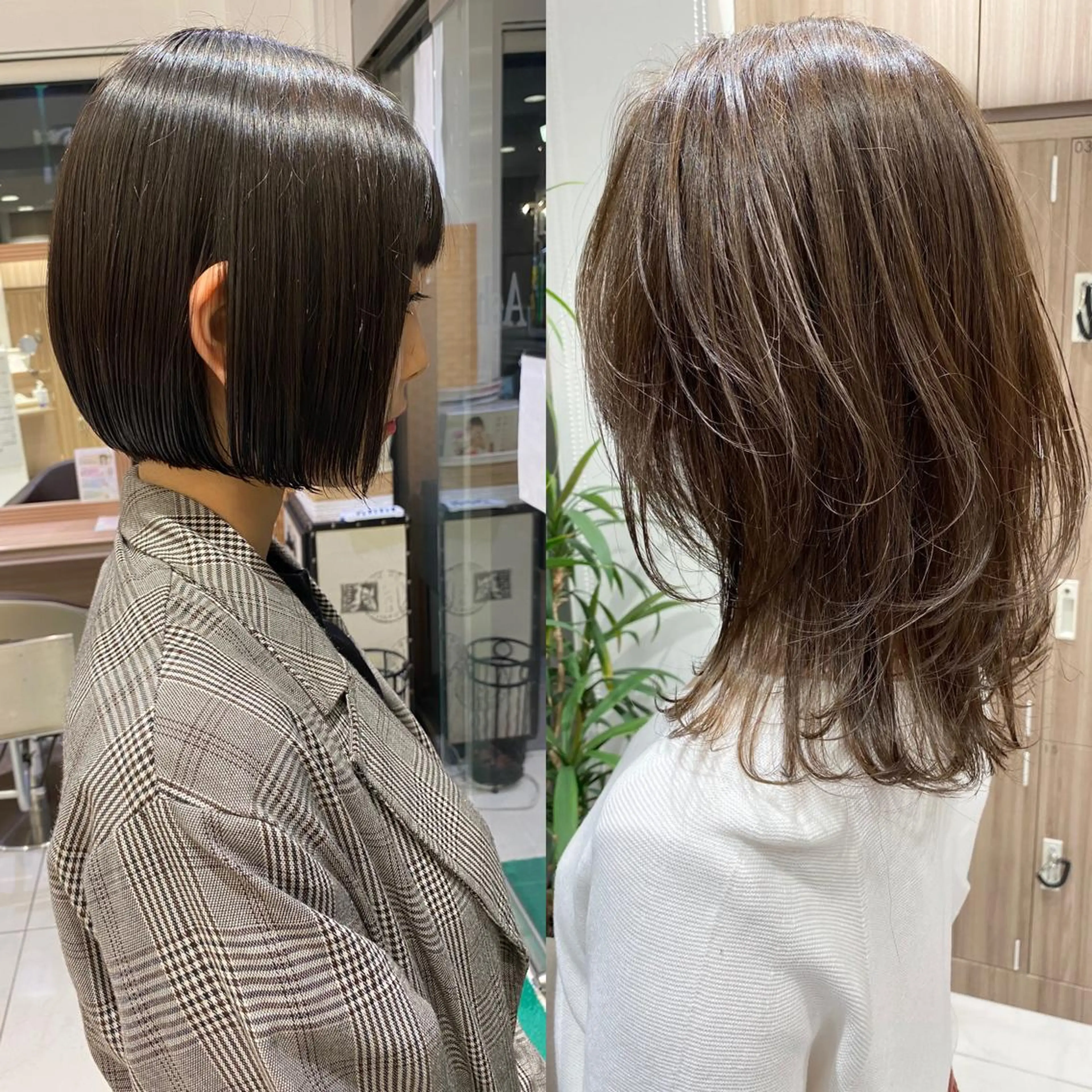 ショート 白髪染め特化美容師 /寺内紳悟のヘアスタイル