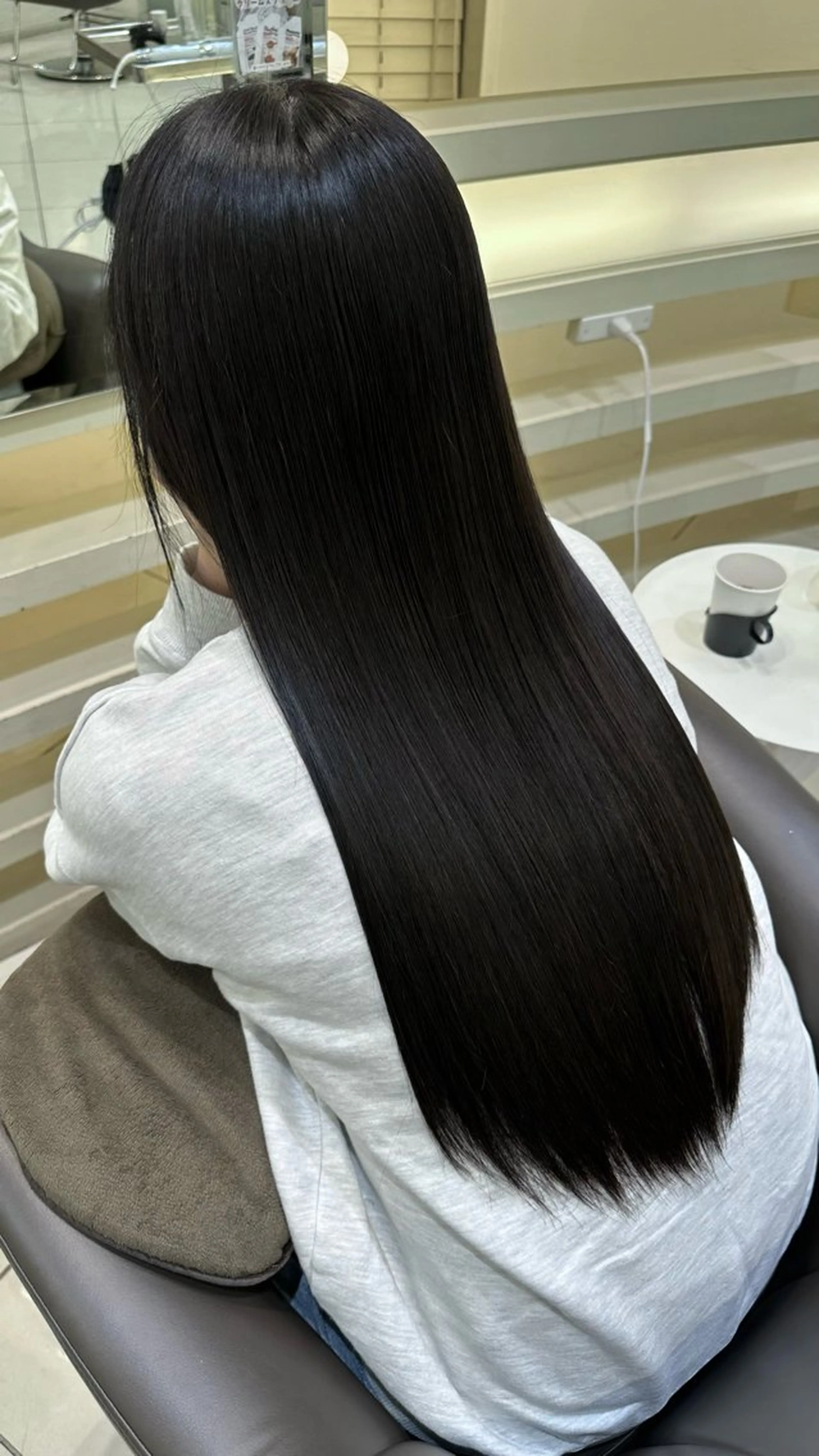 ロング カラー 黒髪 シルバー 🤎ハイライト/ 艶カラー/銀座🤎のヘアスタイル
