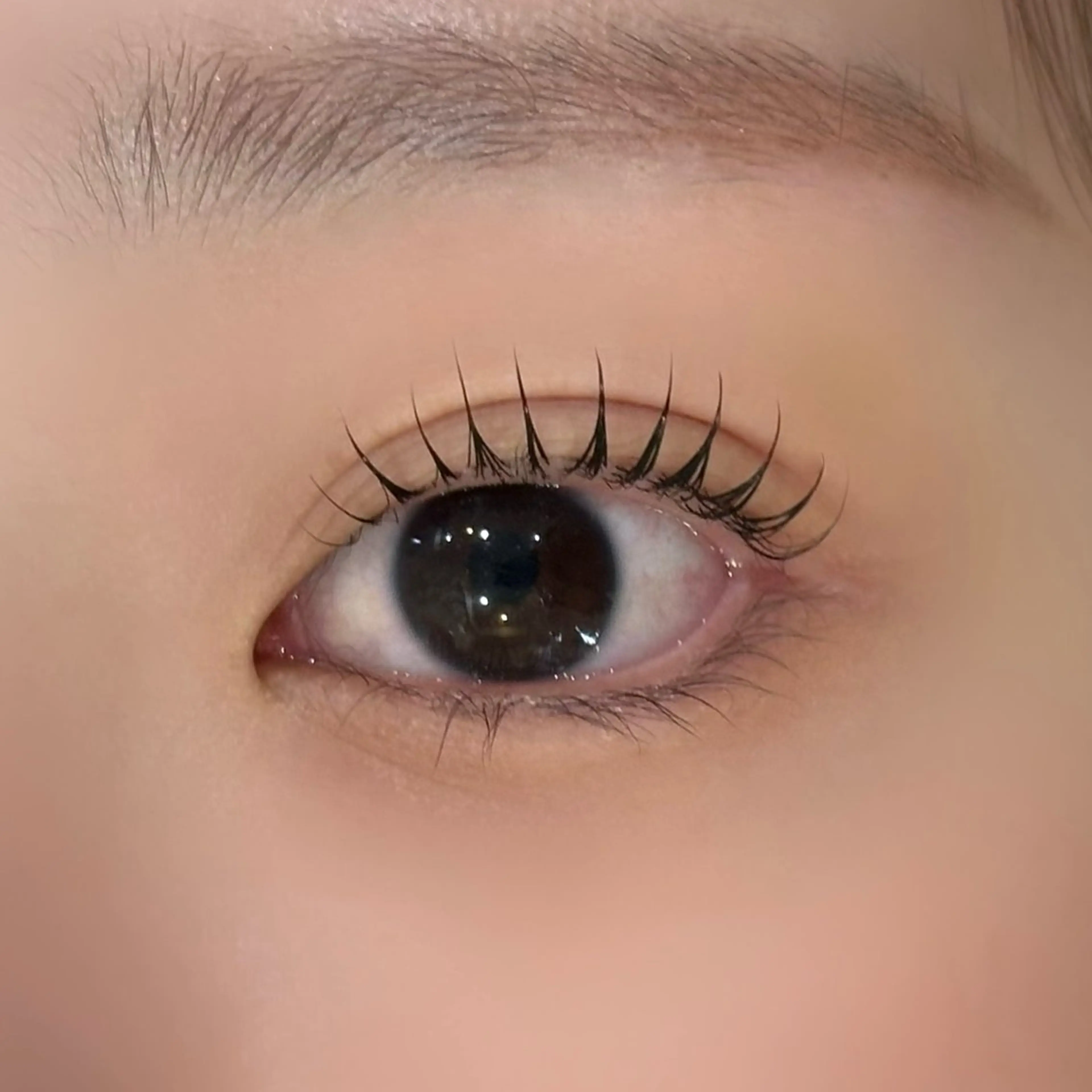 マツエク・マツパ Cカール Lカール パリジェンヌラッシュリフト 一重×まつ毛パーマ マツパ eyelash Zen　manakaのマツエク・マツパデザイン