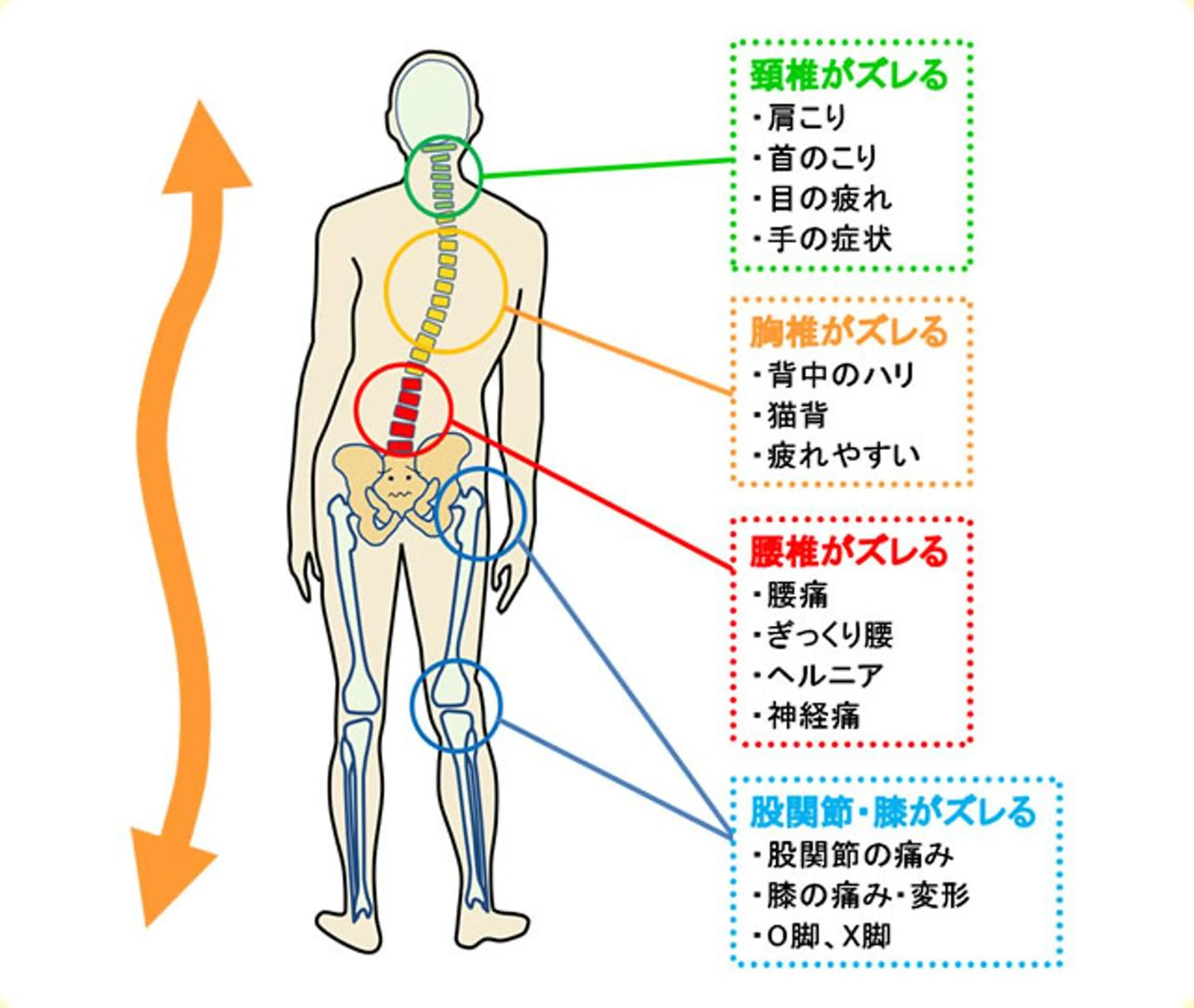 えびす整体院所属・evis daikiのエステ・リラクイメージ