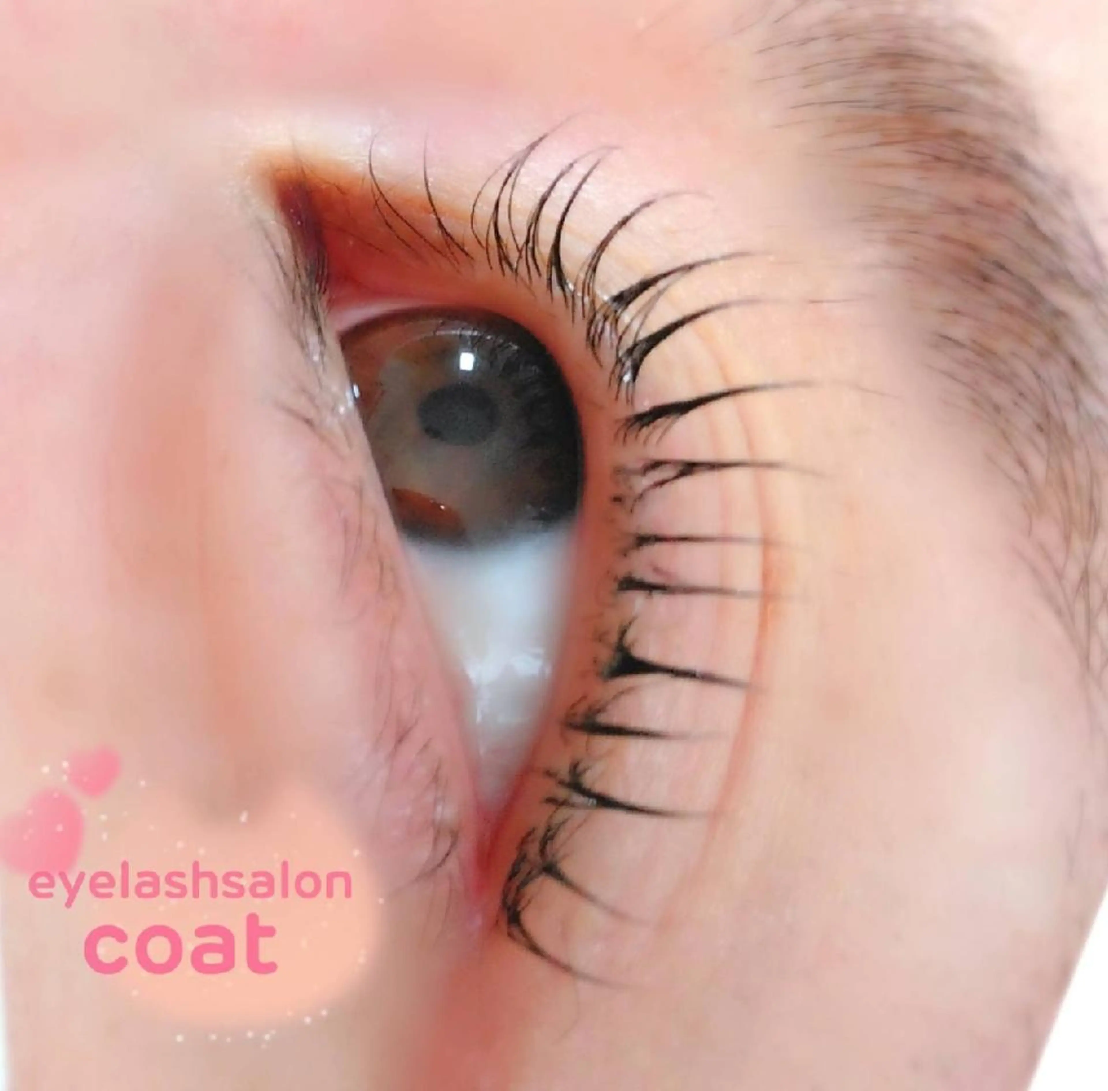 マツエク・マツパ マツパ eyelash salon coat所属・eyelash saloncoatのマツエク・マツパデザイン