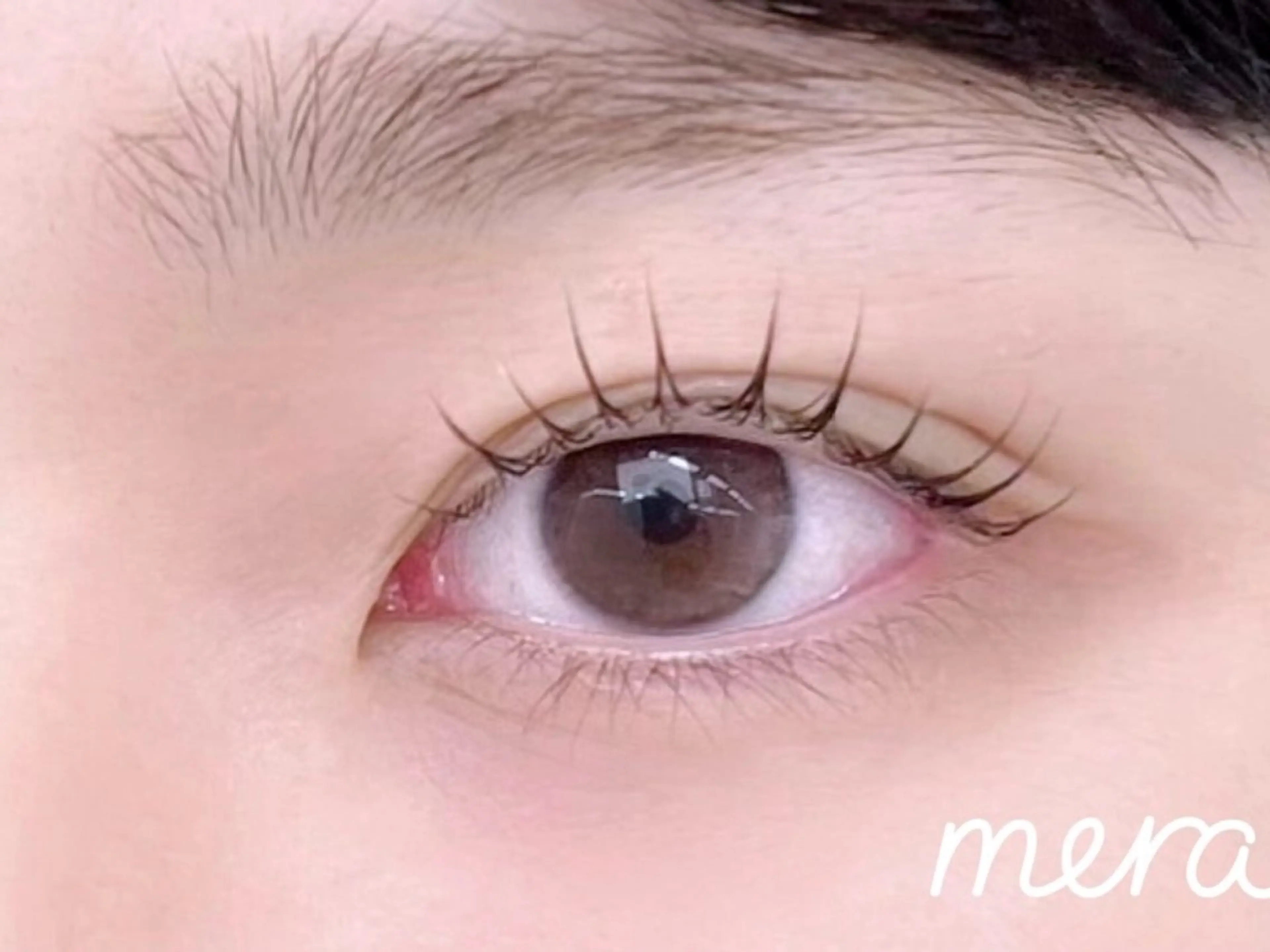 マツエク・マツパ mera三宮所属・mera マツイのマツエク・マツパデザイン