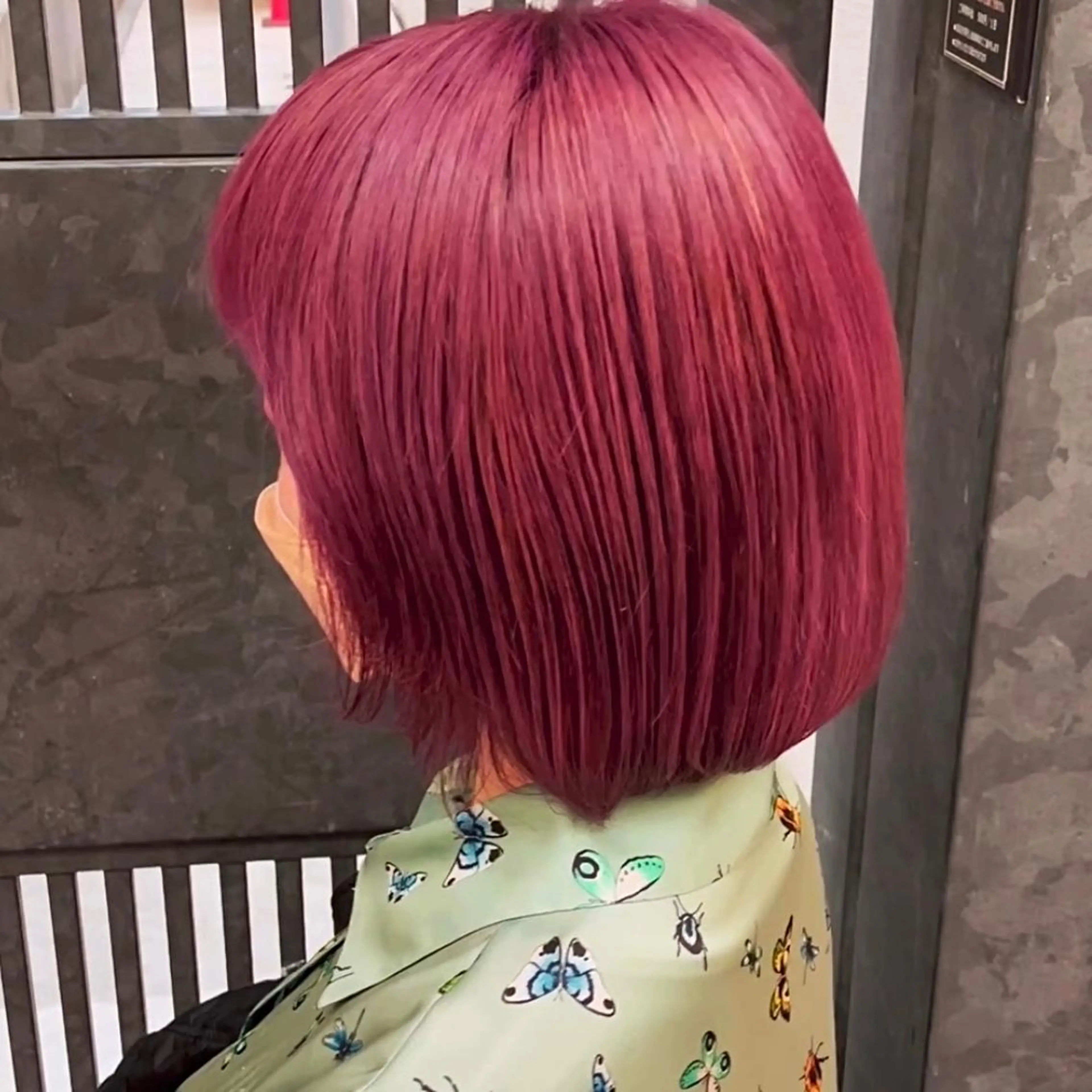 ショート アッシュ アッシュグレー アッシュグレージュ ミストバング ボブ ヘアカラー レイヤー/ボブ/ ブリーチ/溝口誠二のヘアスタイル