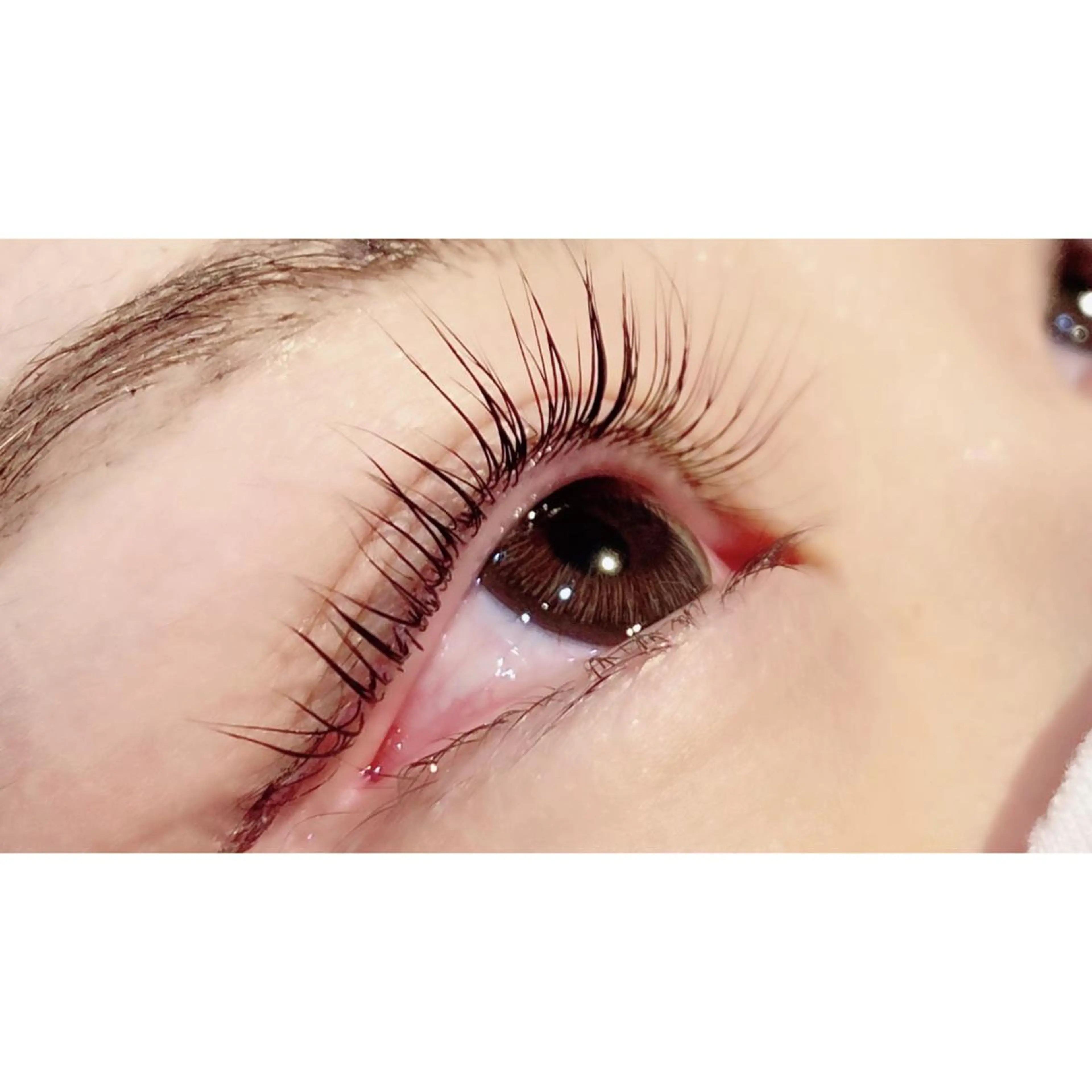 マツエク・マツパ パリジェンヌラッシュリフト Bianca 長津田店　長牛のマツエク・マツパデザイン