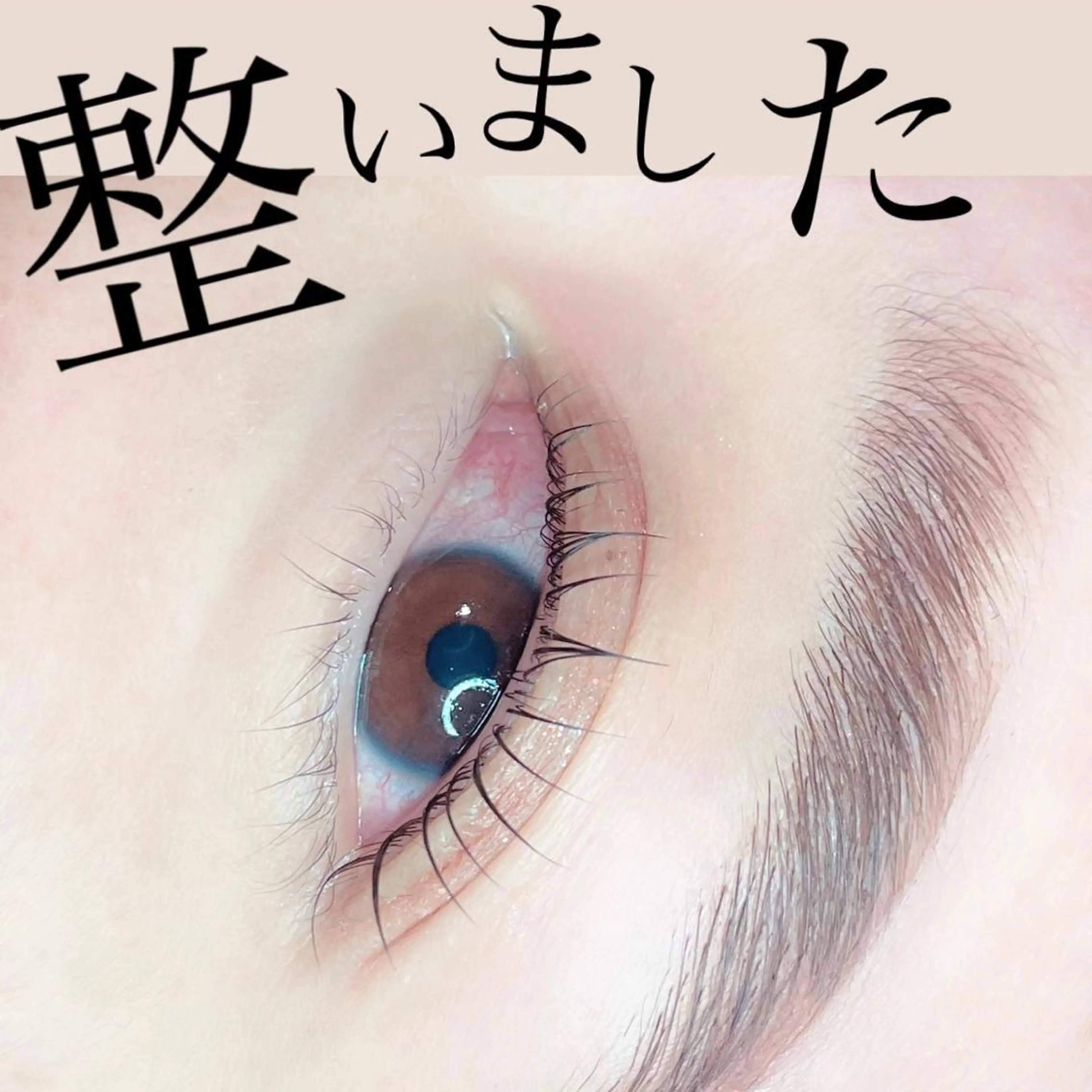 マツエク・マツパ アイブロウ times salon所属・ボウ🪞ヘアセット /マツパ/眉毛のヘアスタイル