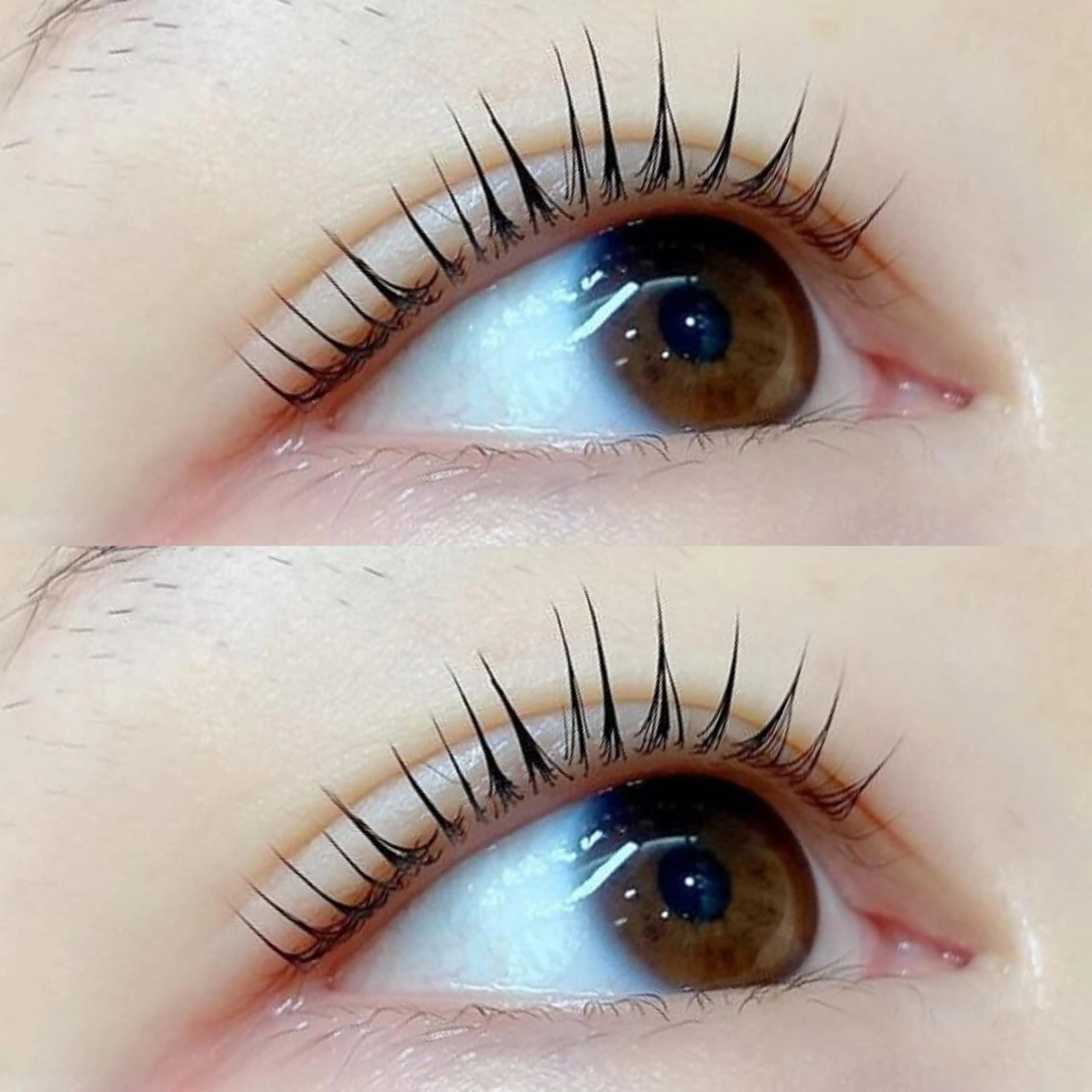 マツエク・マツパ Eyelash Licca所属・Eyelash Liccaのマツエク・マツパデザイン