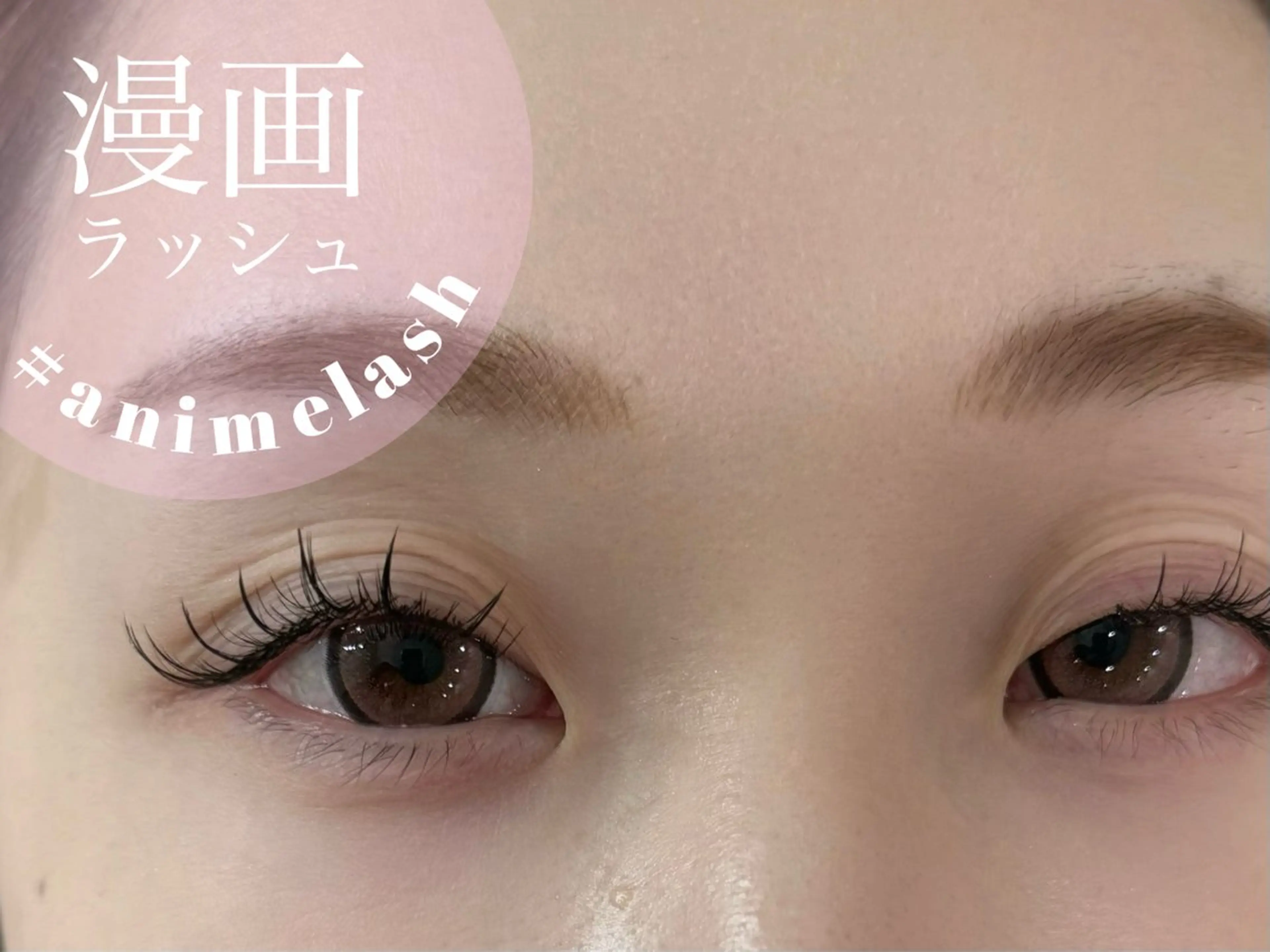 マツエク・マツパ 束感まつ毛 Livicate 💗🧁🎀🦋の眉毛・アイブロウイメージ