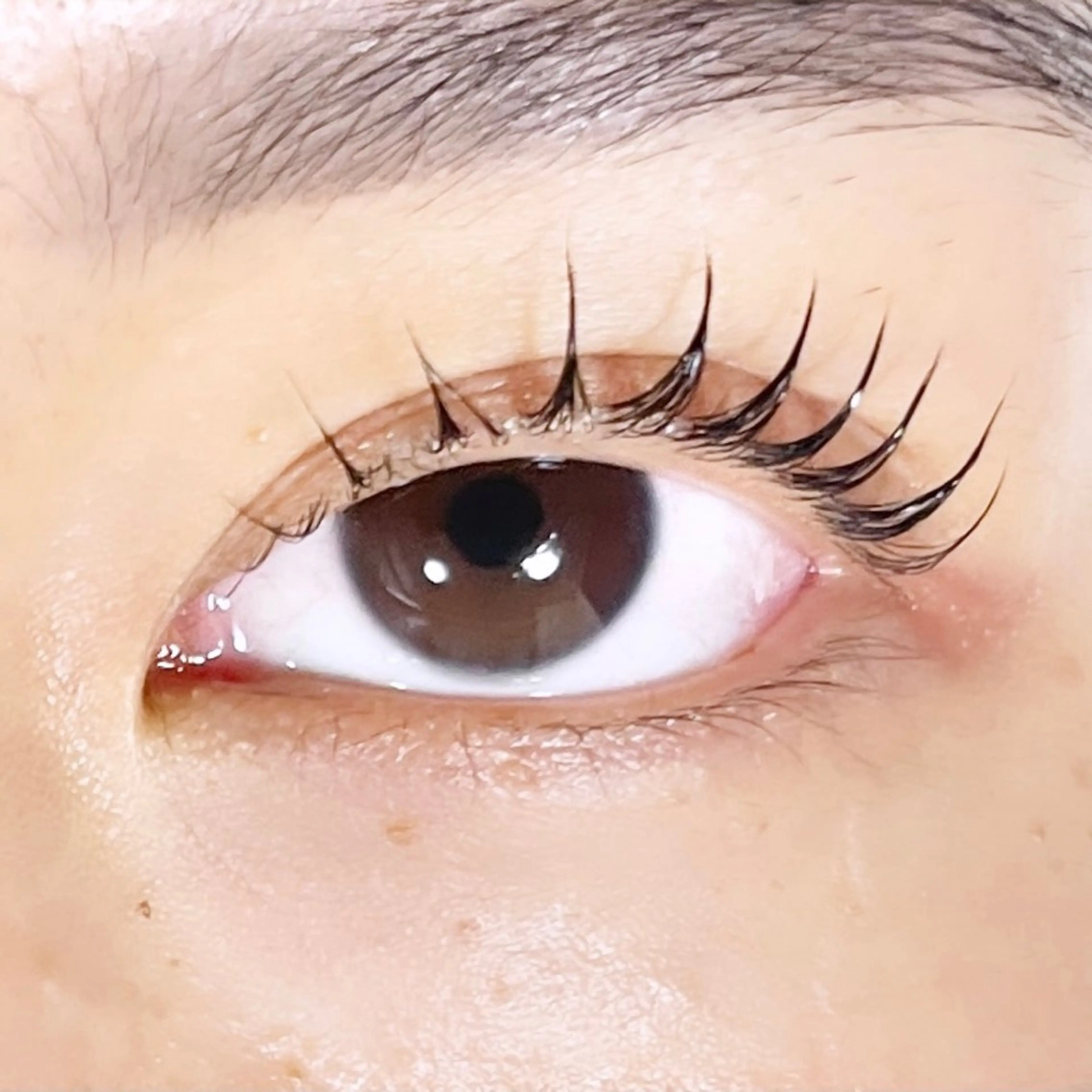 マツエク・マツパ TAKEO🖤 マリーテレジア藤が丘のマツエク・マツパデザイン