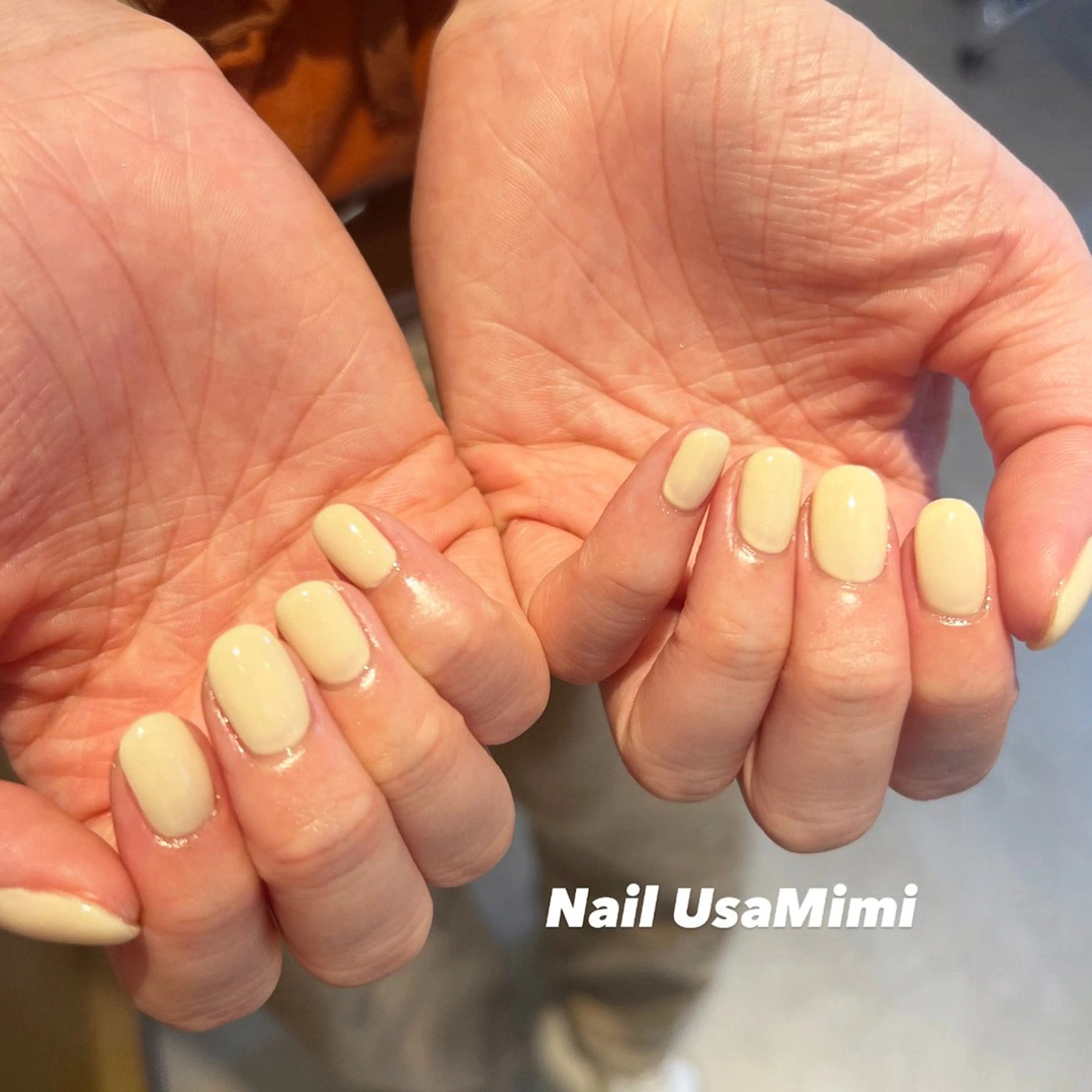 ネイル ジェルネイル マグネットネイル 持ち込み ワンカラーネイル パラジェル ハンドネイル 本町NailUsa Mimi RIKOのネイルデザイン