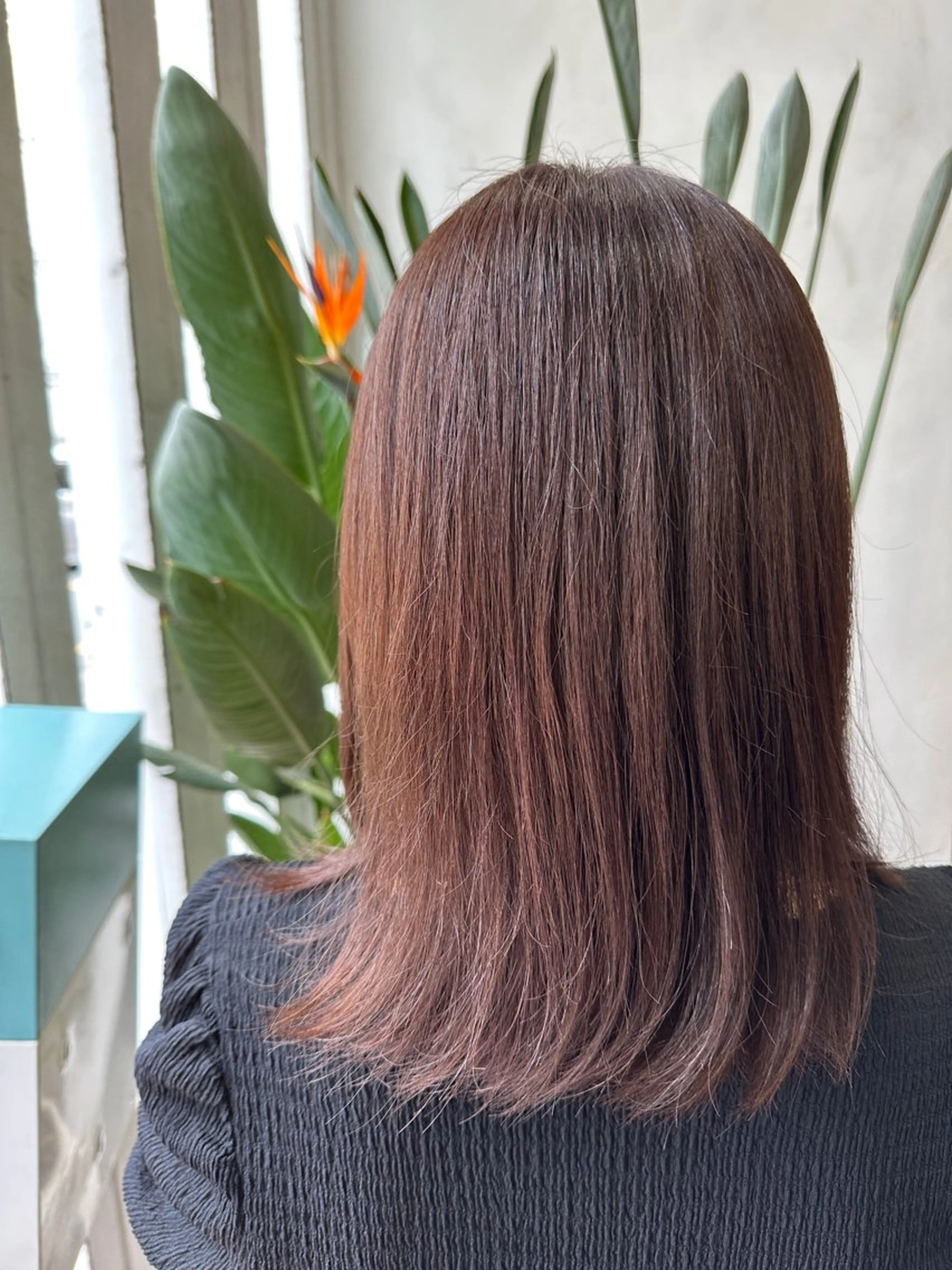 ミディアム カラー パープルカラー オタクアイリスト 🎀🪞山﨑愛菜のマツエク・マツパデザイン