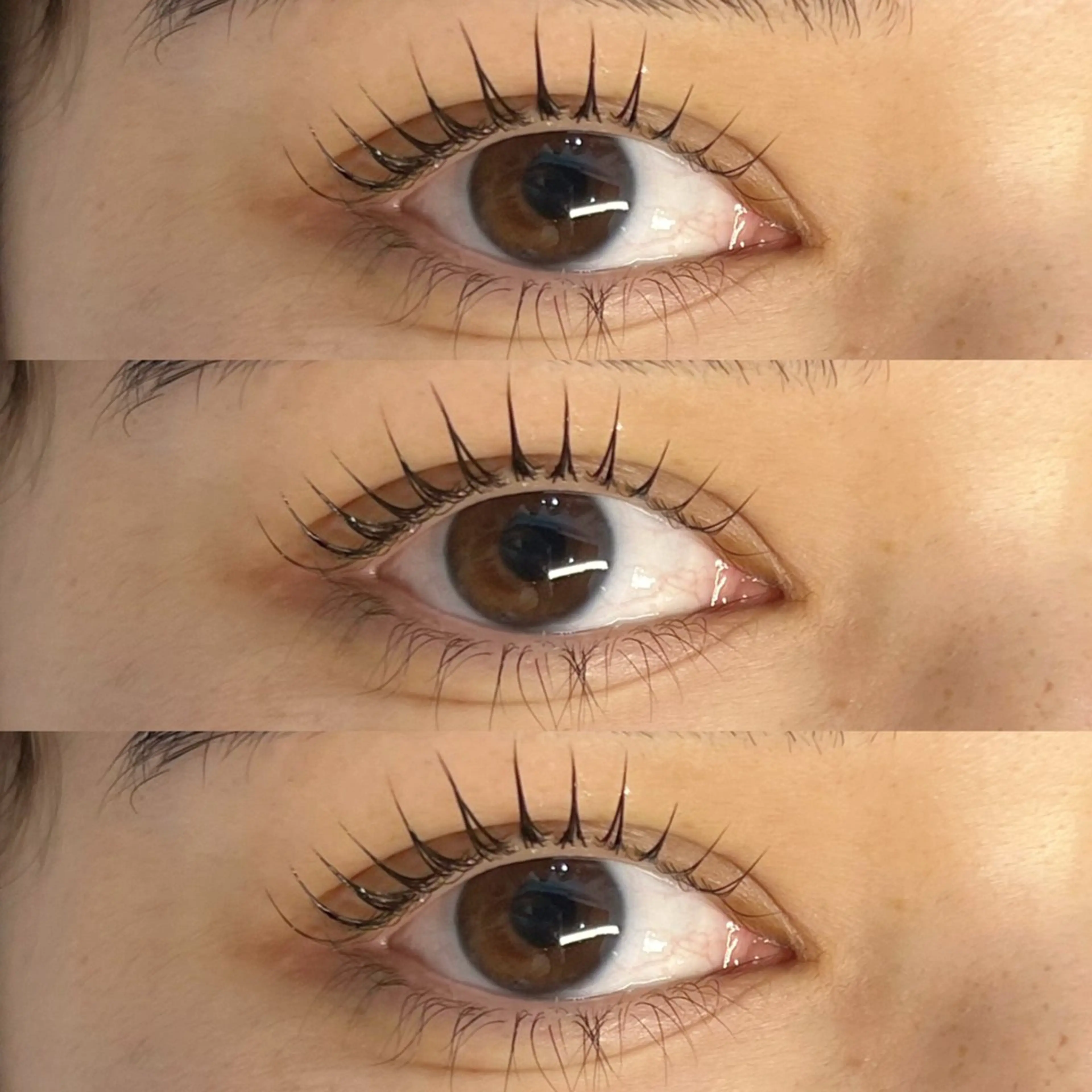 《Lash lift + tint》マスカラパーマの写真