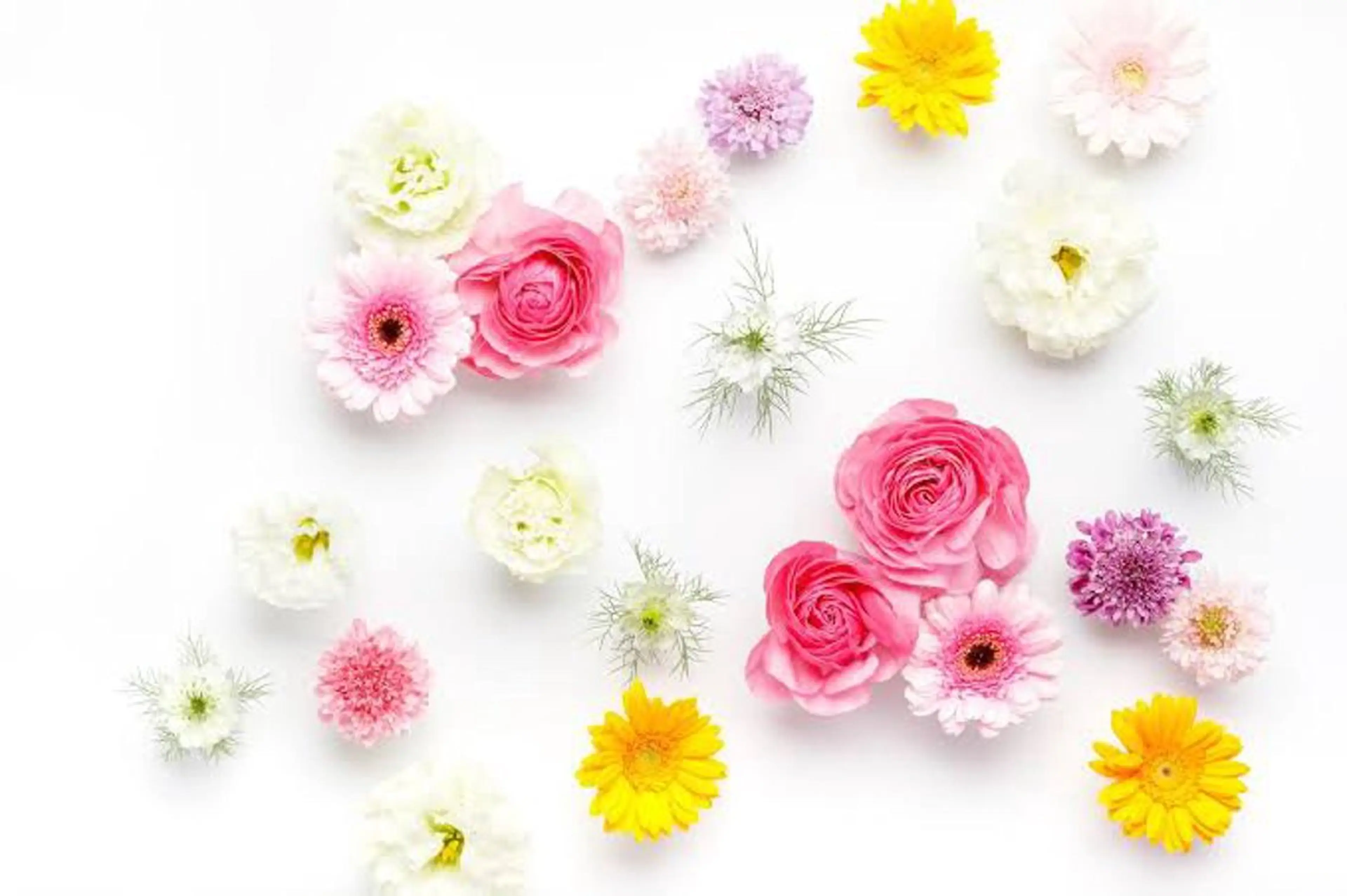 Jam〜nail&eyelash所属・🌸 Sakura JAMの眉毛・アイブロウイメージ