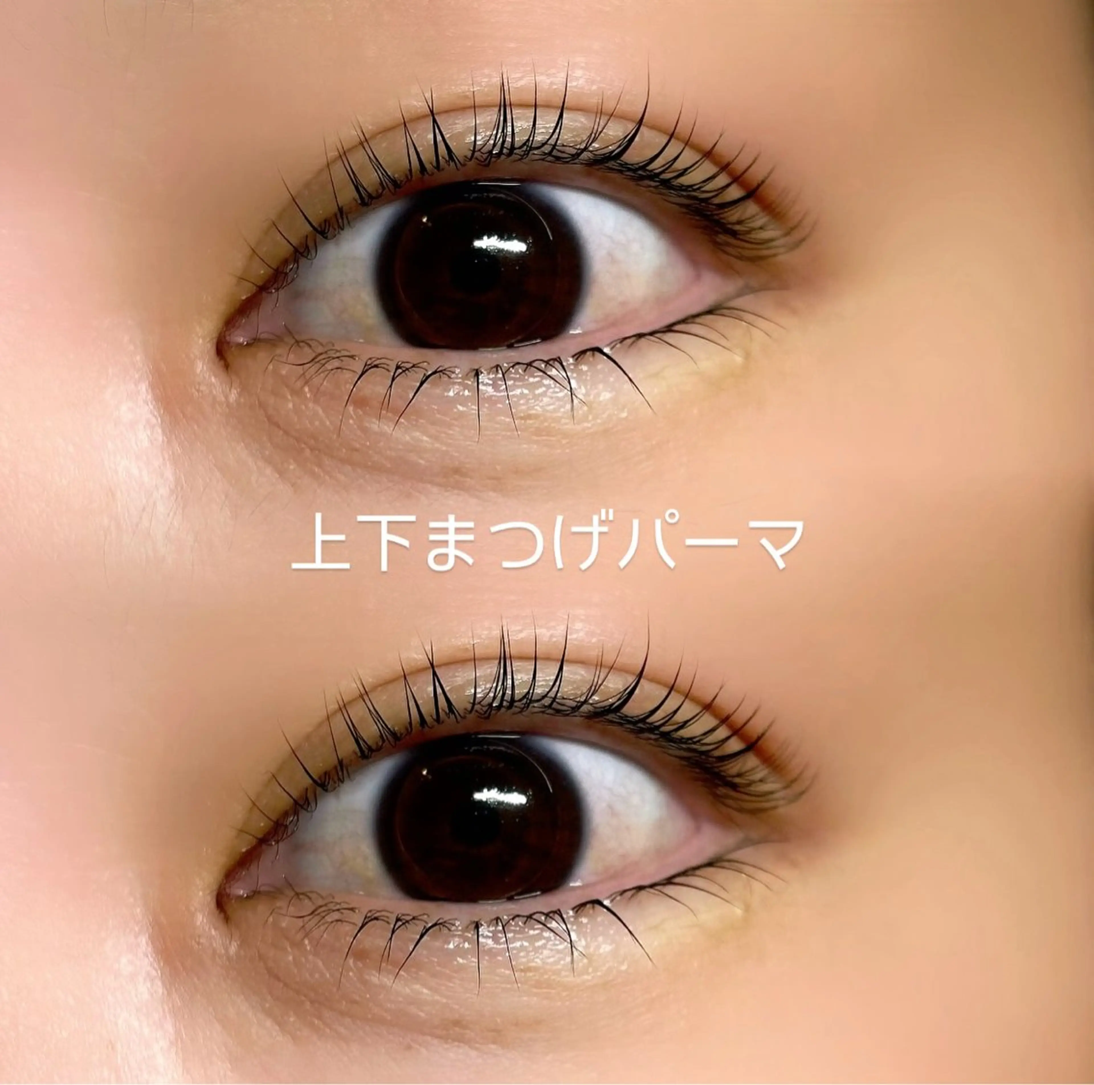 マツエク・マツパ マツパ AKl ꕤ︎︎·のマツエク・マツパデザイン