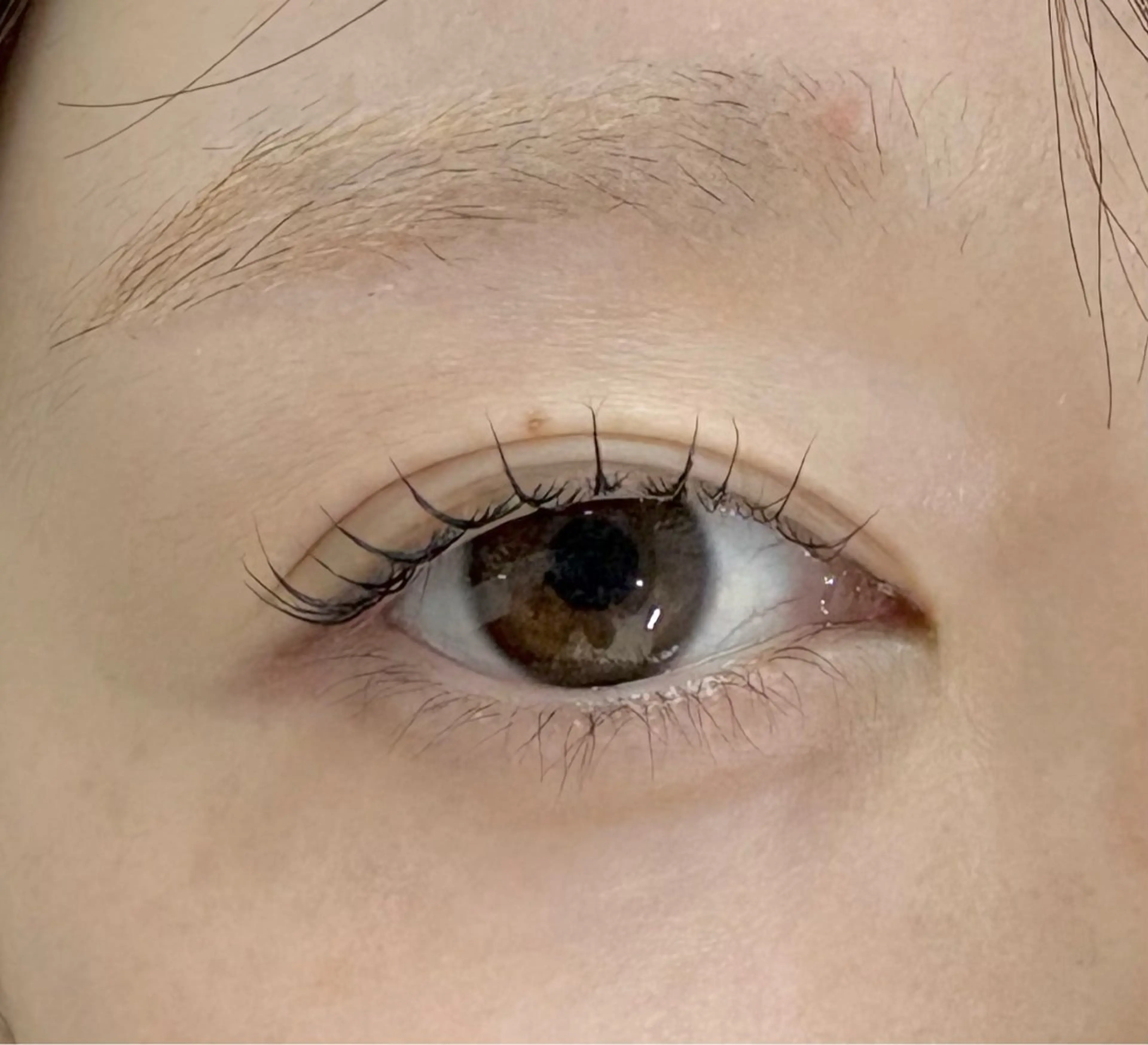 マツエク・マツパ Holus kihoのマツエク・マツパデザイン