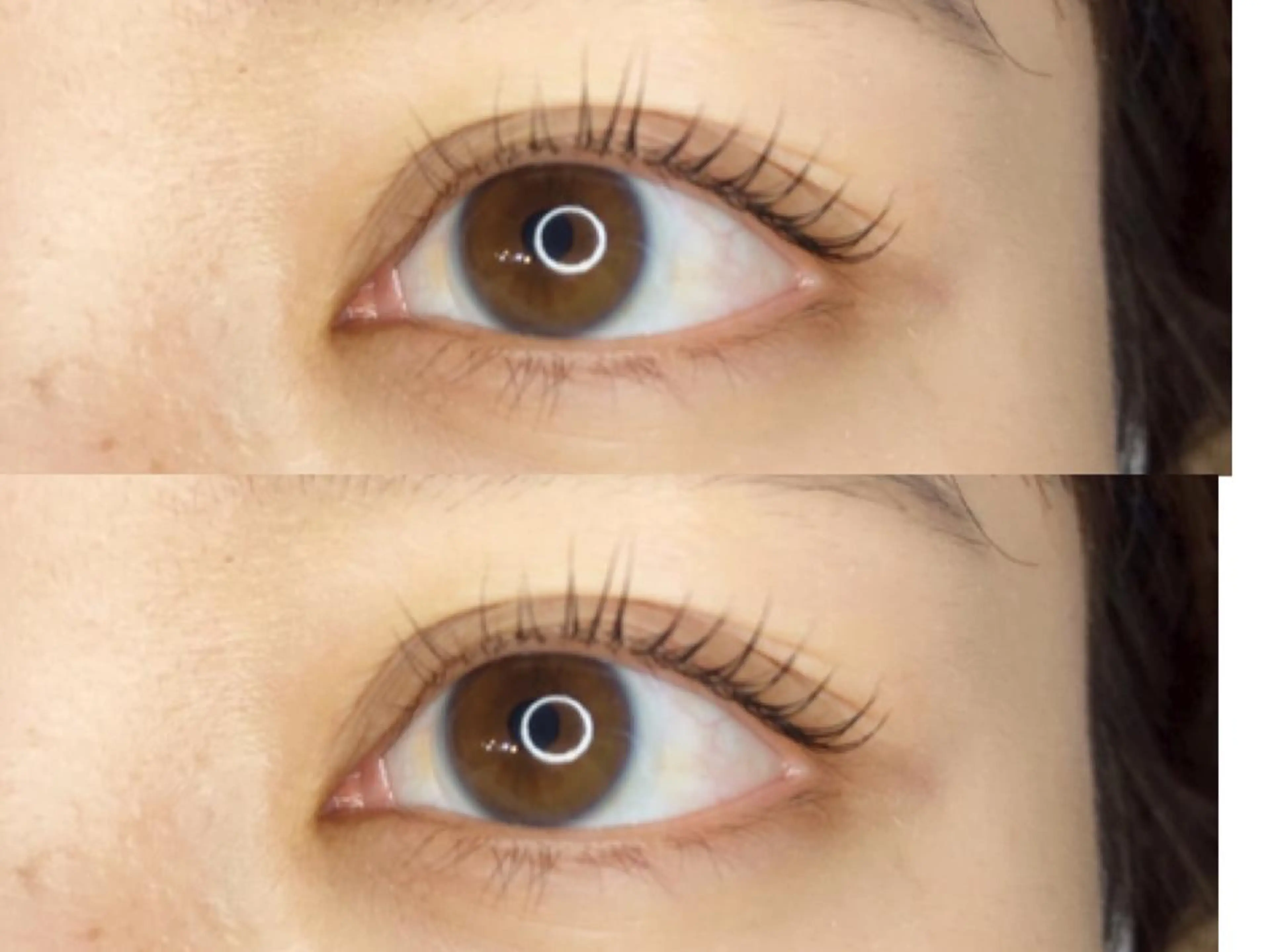 マツエク・マツパ マツパ 《eyelash ｉｉｔｅ》森のマツエク・マツパデザイン
