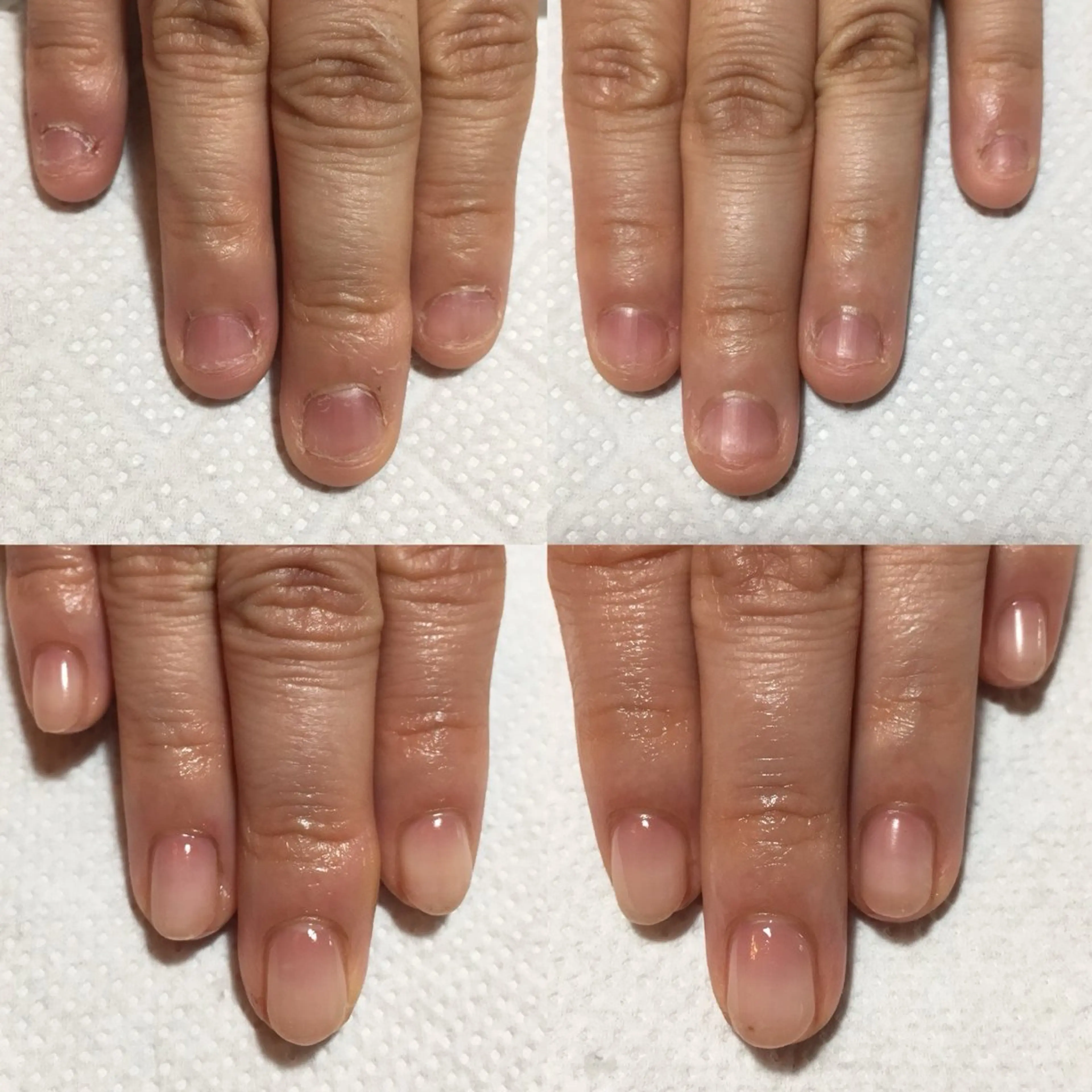 ネイル ネイルケアサロン Campanulaのネイルデザイン