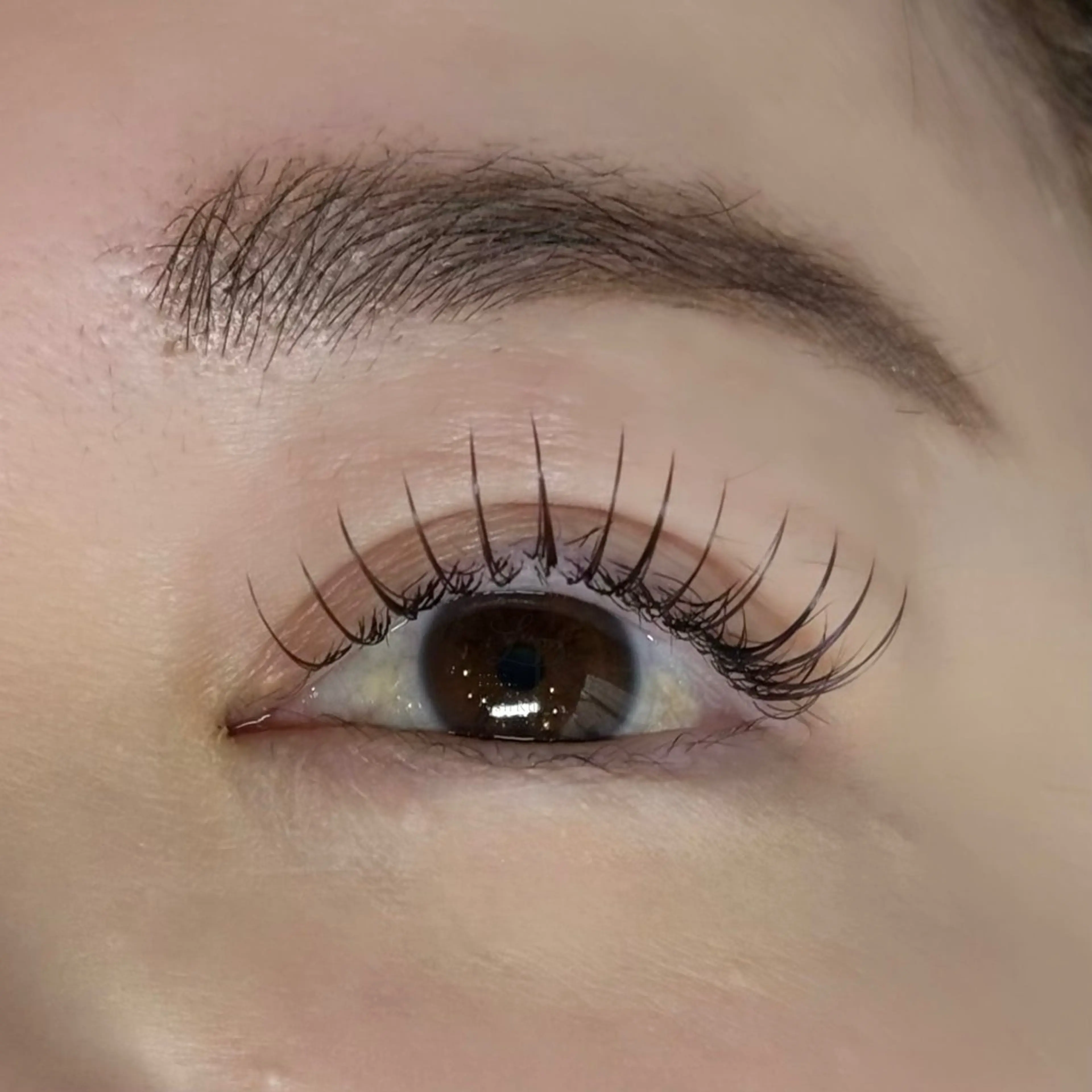 マツエク・マツパ フラットラッシュ LashRush🎀 Risaのマツエク・マツパデザイン