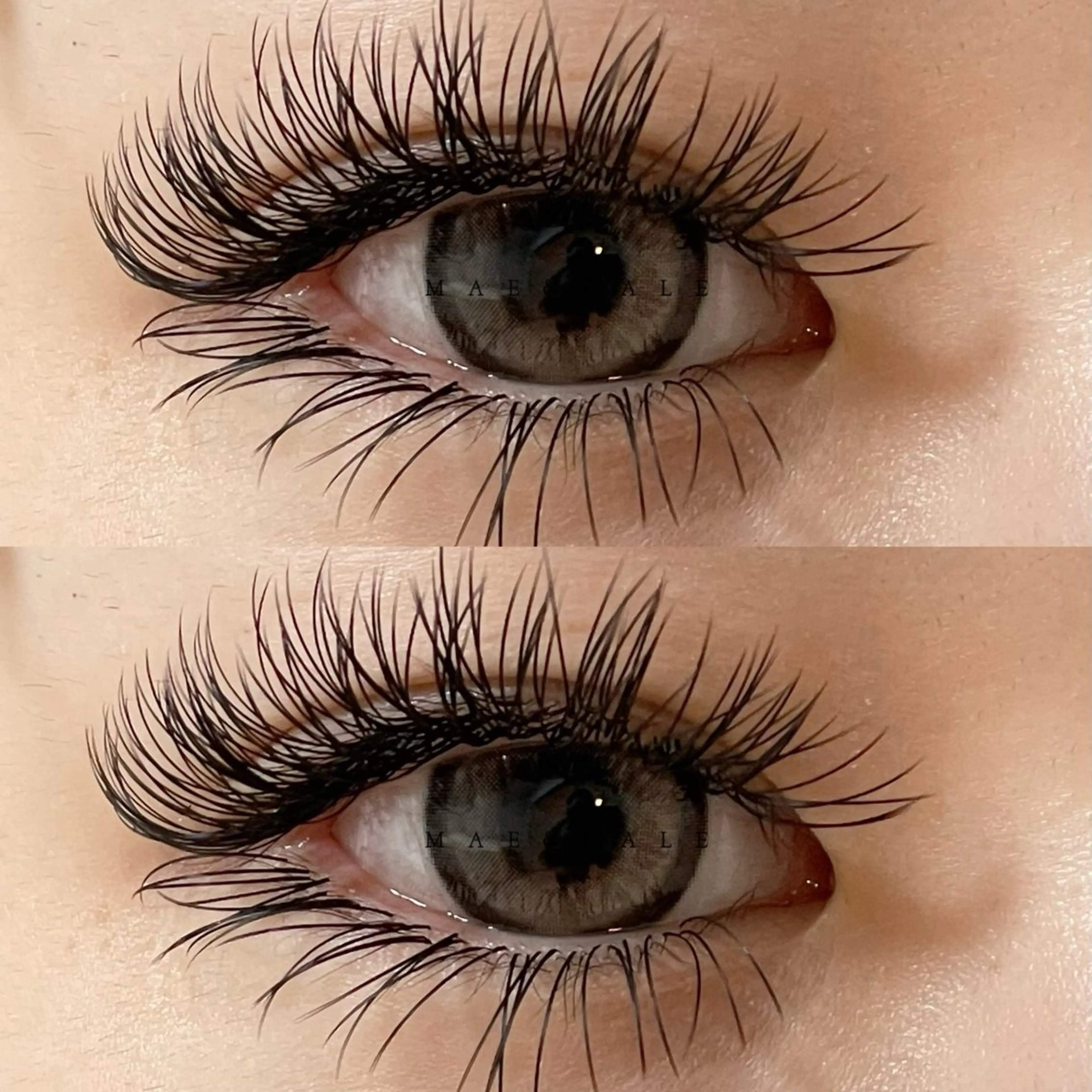 【新規オフ込み】フラットラッシュ上➕下　付け放題の写真