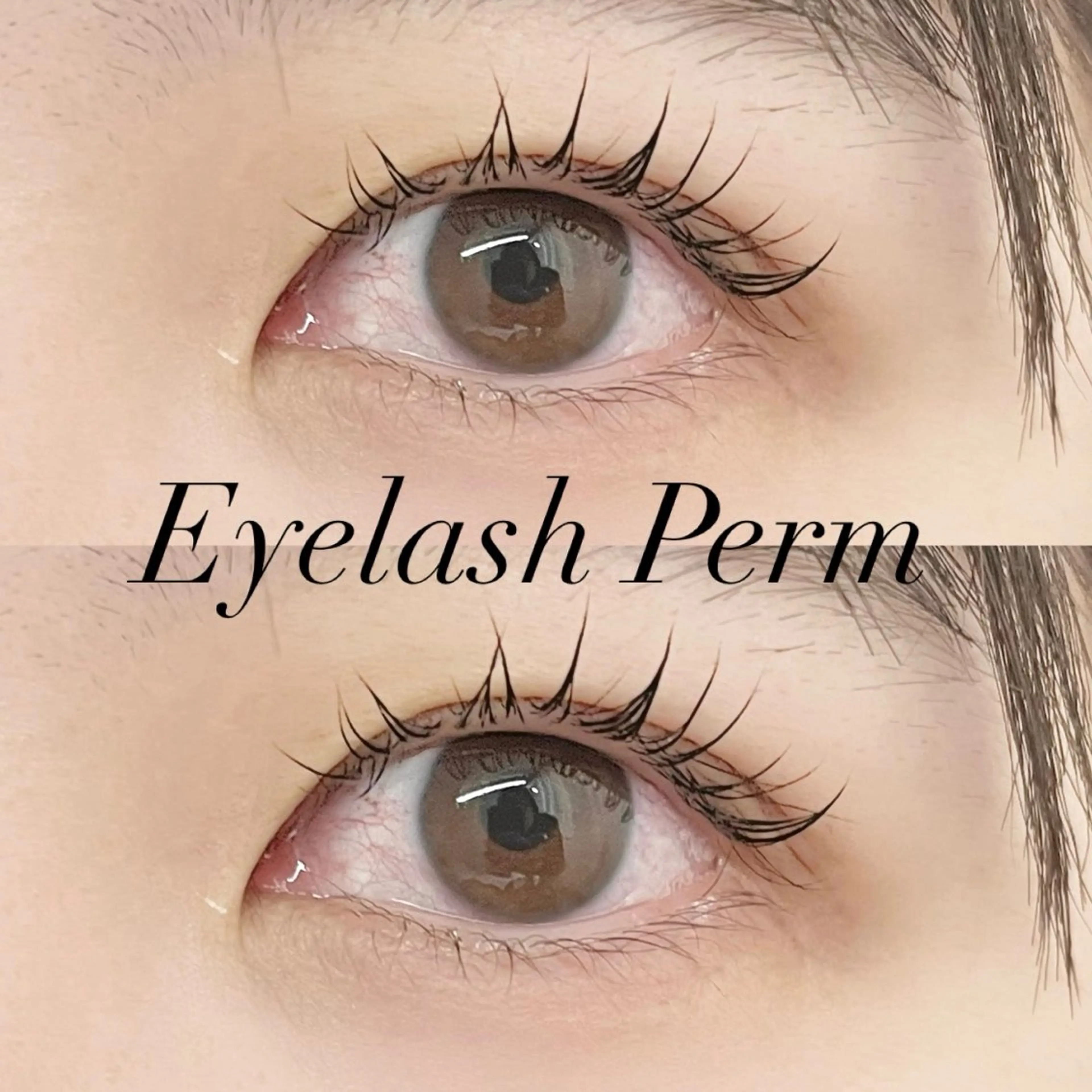 マツエク・マツパ マツパ share eyelash所属・share天王寺 KAHOのマツエク・マツパデザイン