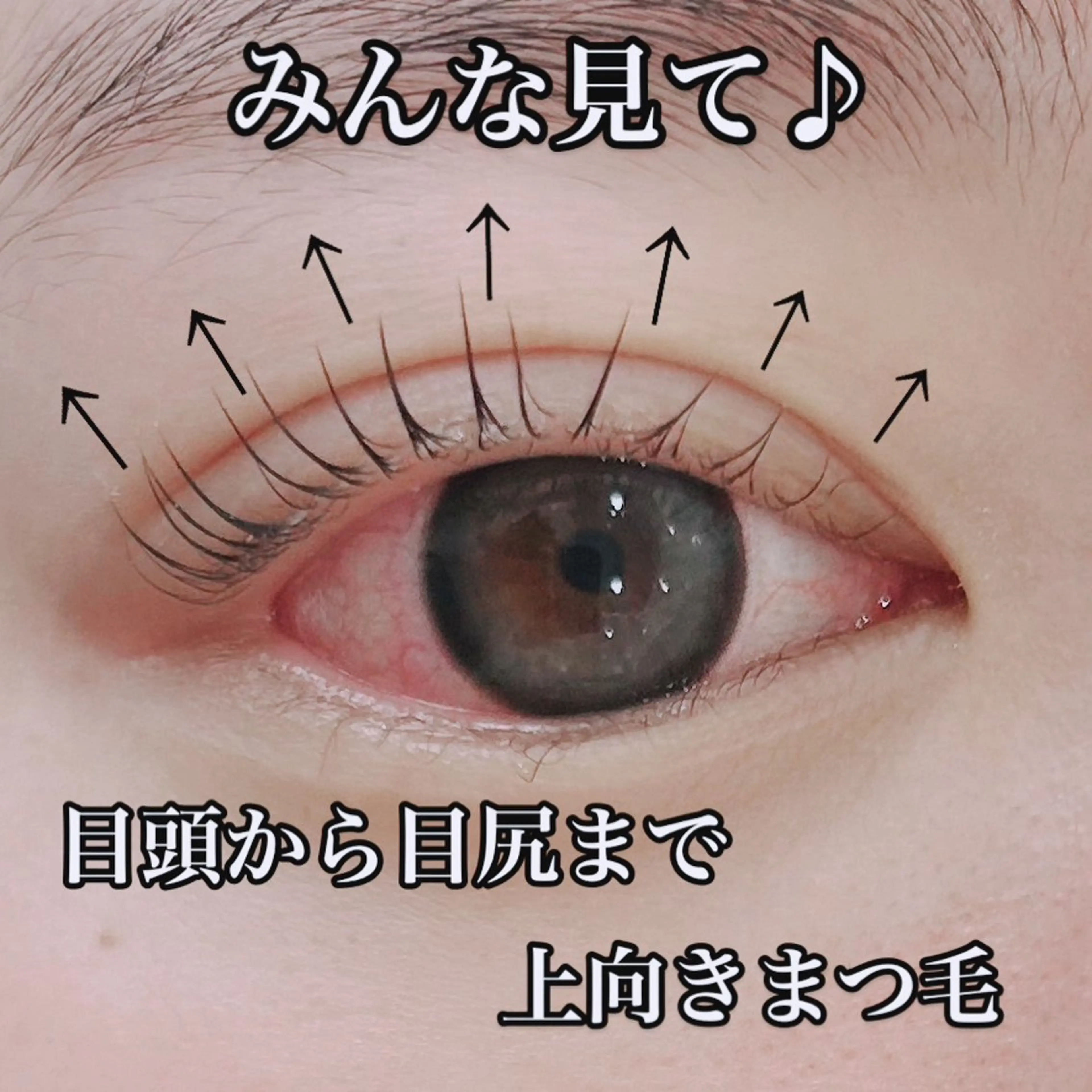 マツエク・マツパ Glimpse eyelashのマツエク・マツパデザイン