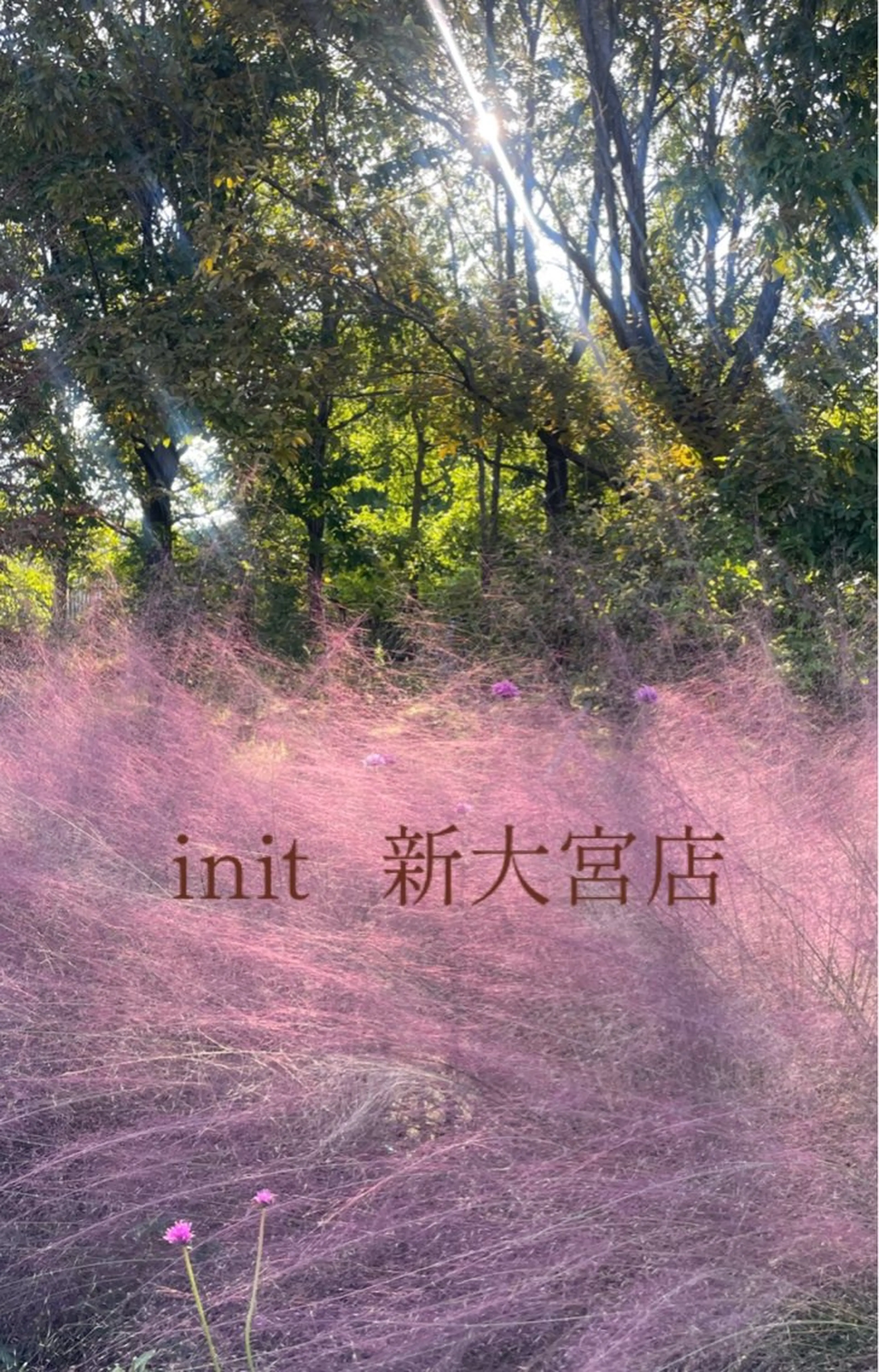 init.所属・丸野 ゆうき💫のヘアスタイル