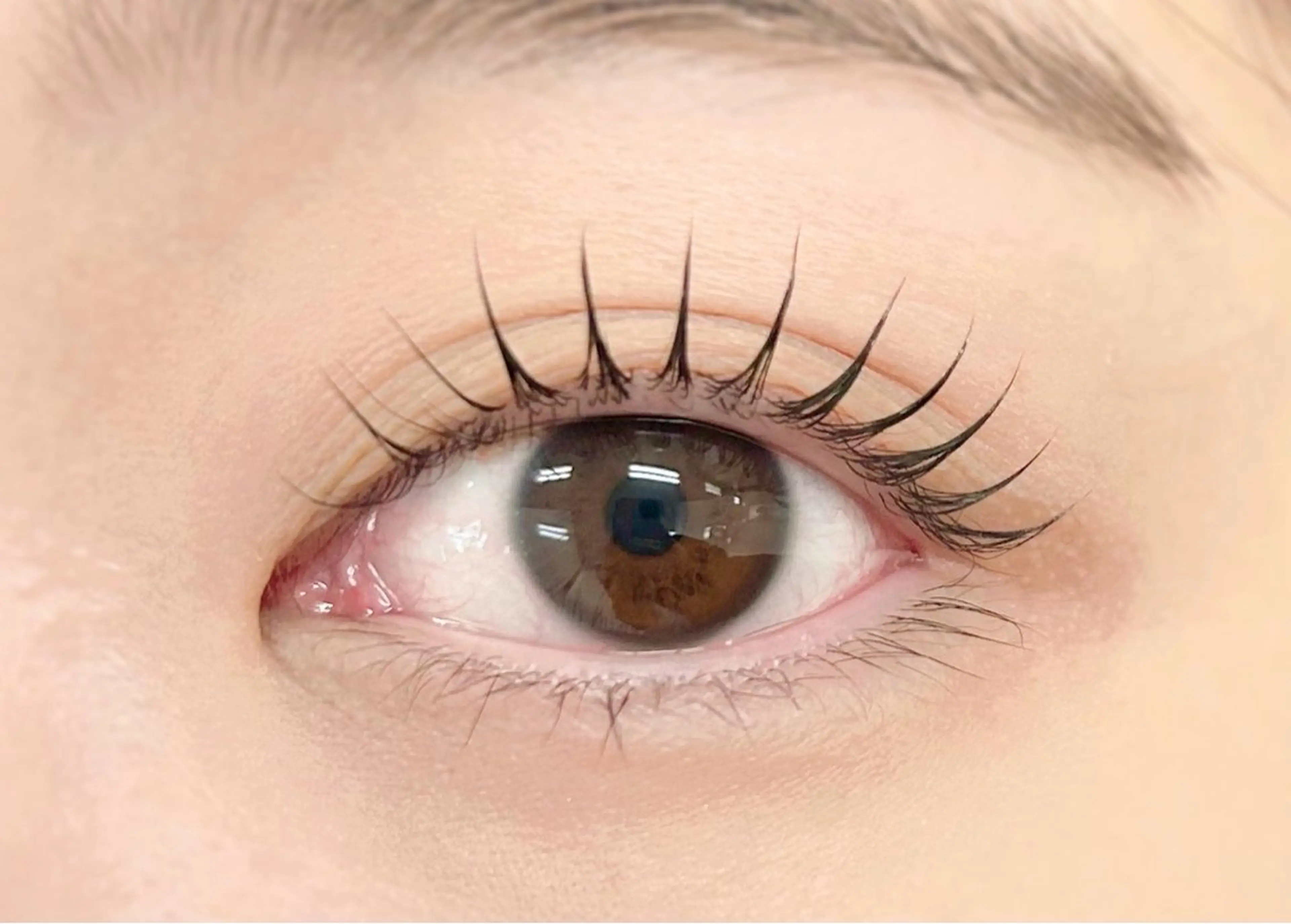 ✨🩵まつげパーマ🩵✨の写真