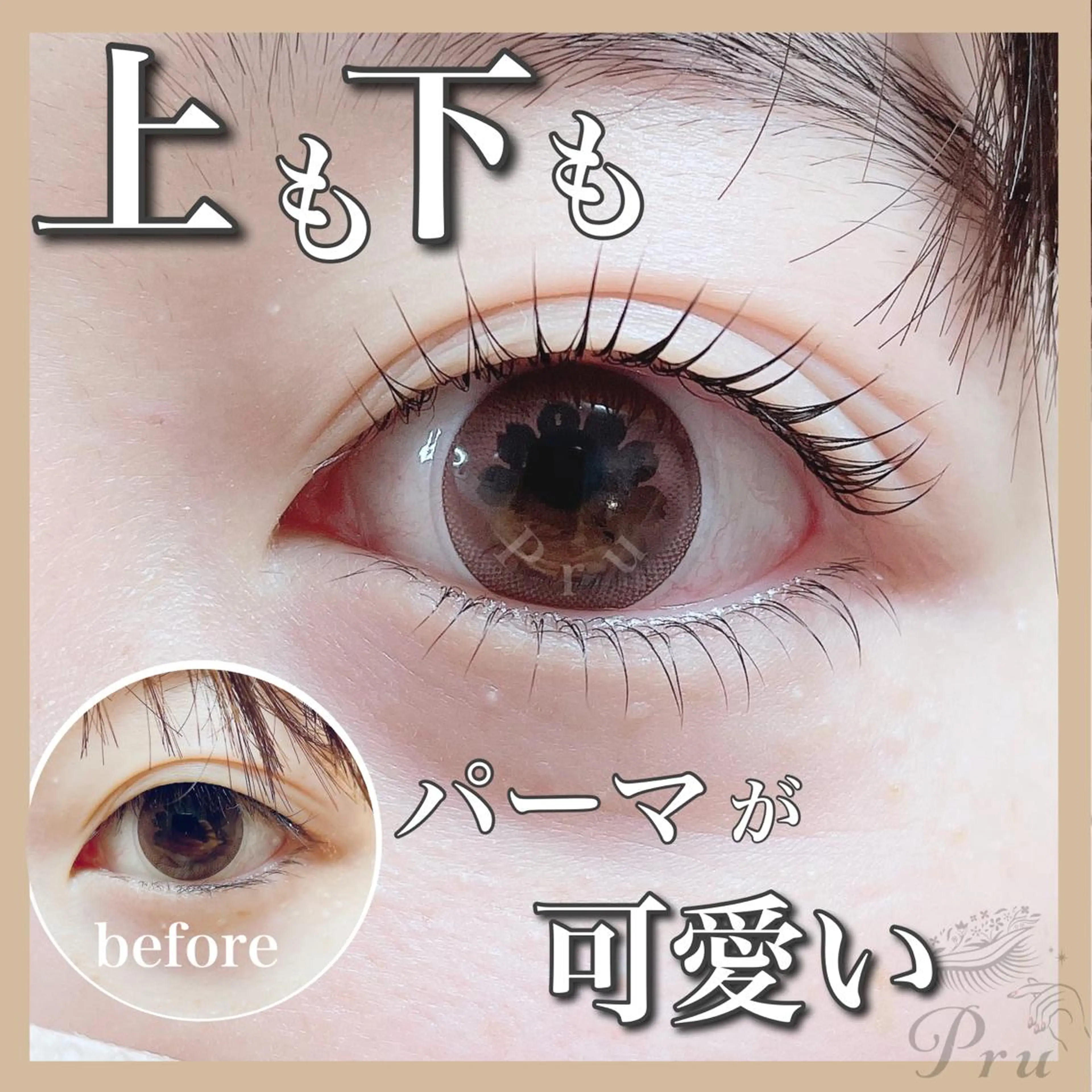 マツエク・マツパ まつげパーマ 下まつげエクステ マツパ プル eyelashのマツエク・マツパデザイン
