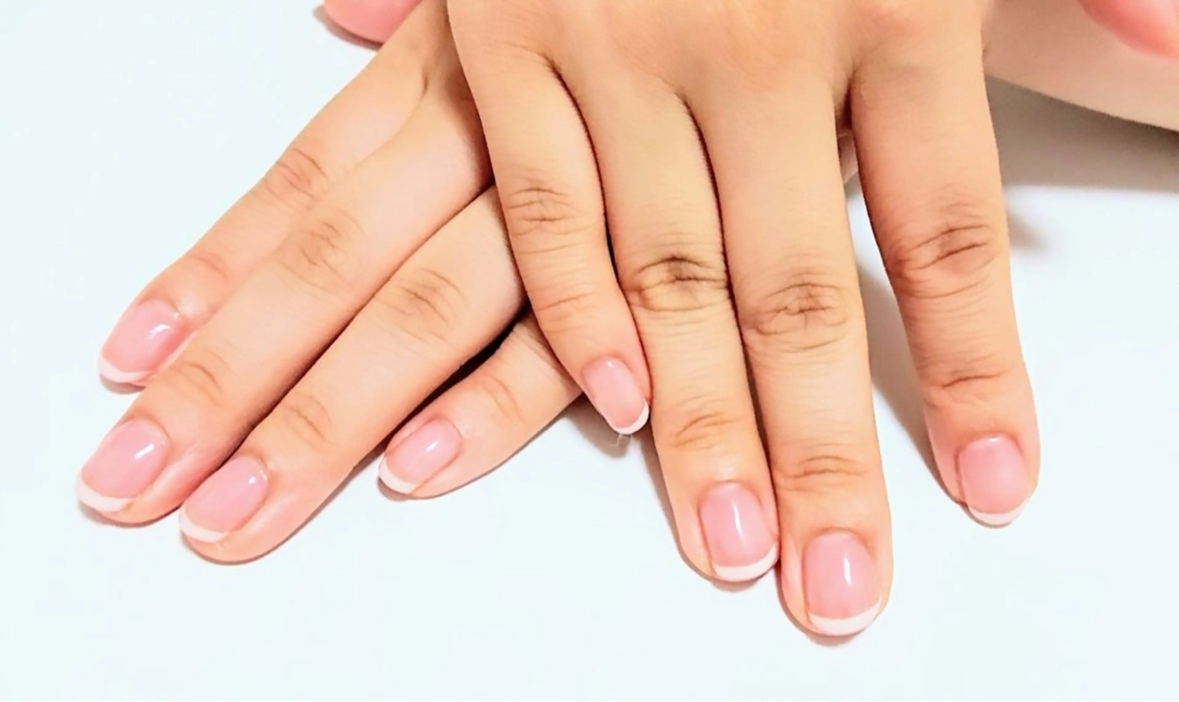 ハンドネイル💅フレンチ🐶の写真